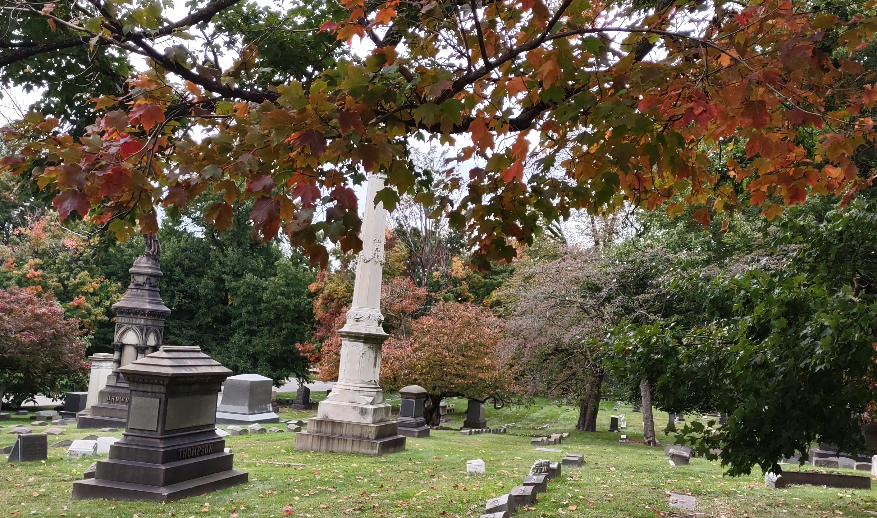 IMG_20221001_155345992