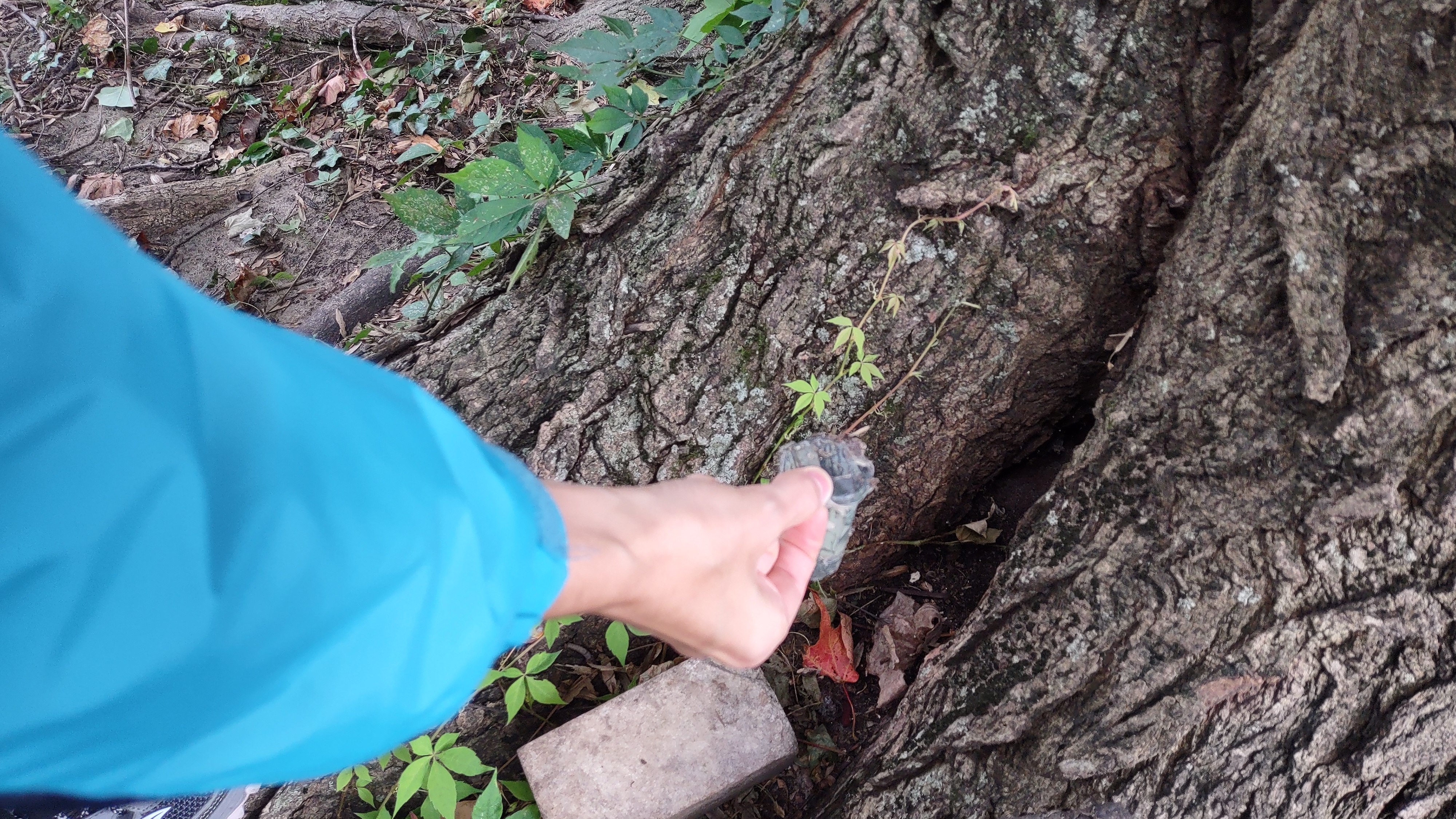 IMG_20221001_155637786