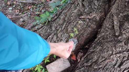 IMG_20221001_155637786