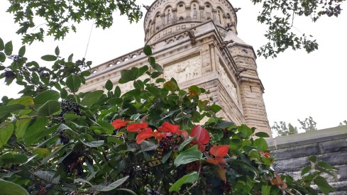 IMG_20221001_160740853_HDR