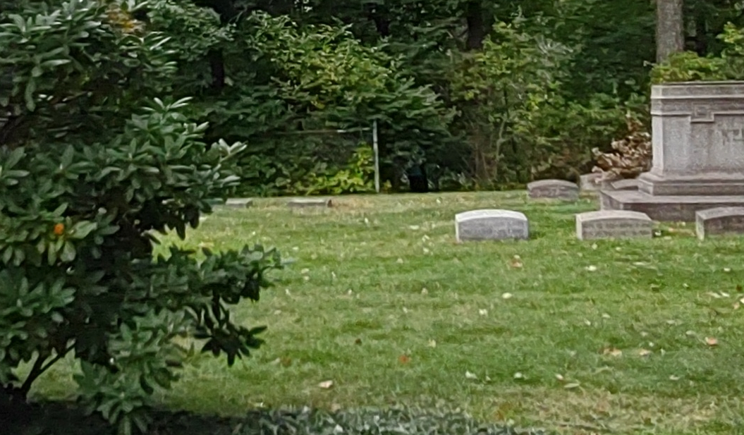 IMG_20221001_162405532