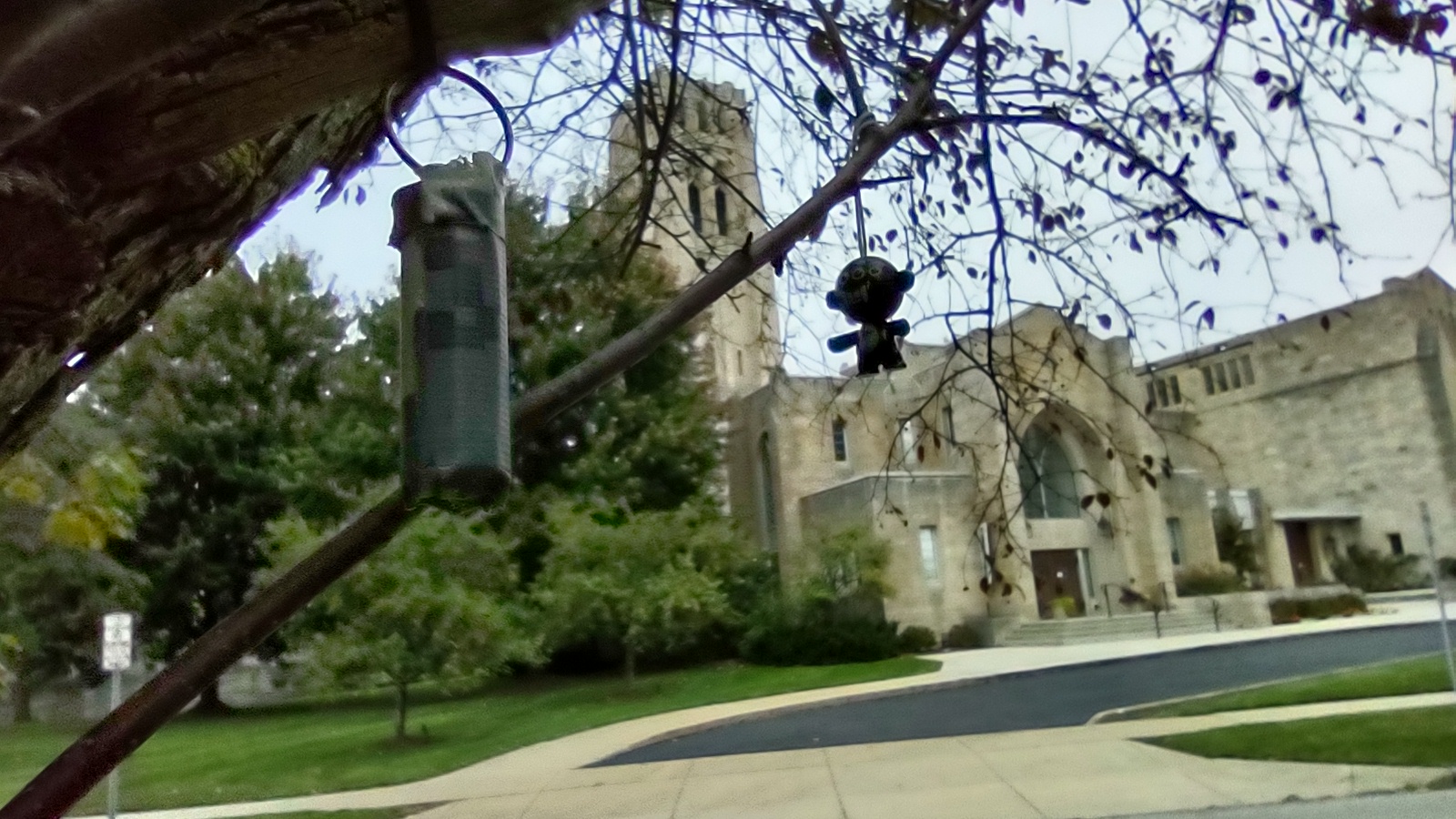 IMG_20221001_171155509_HDR