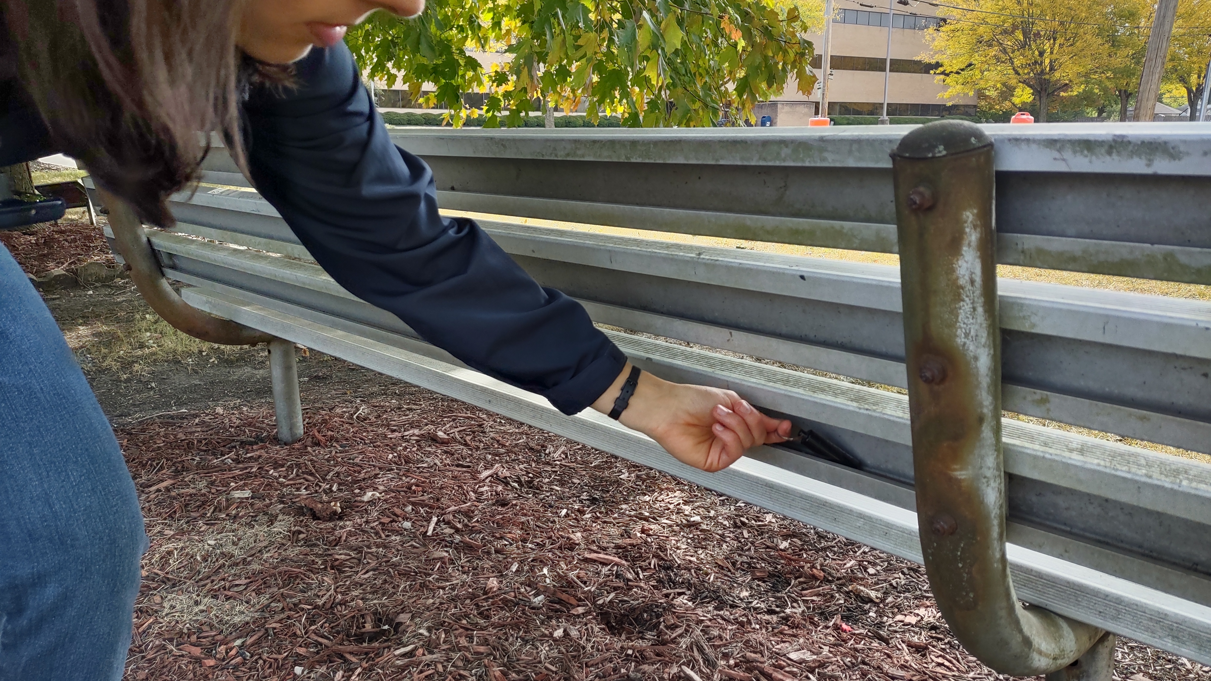 IMG_20221006_115156923_HDR