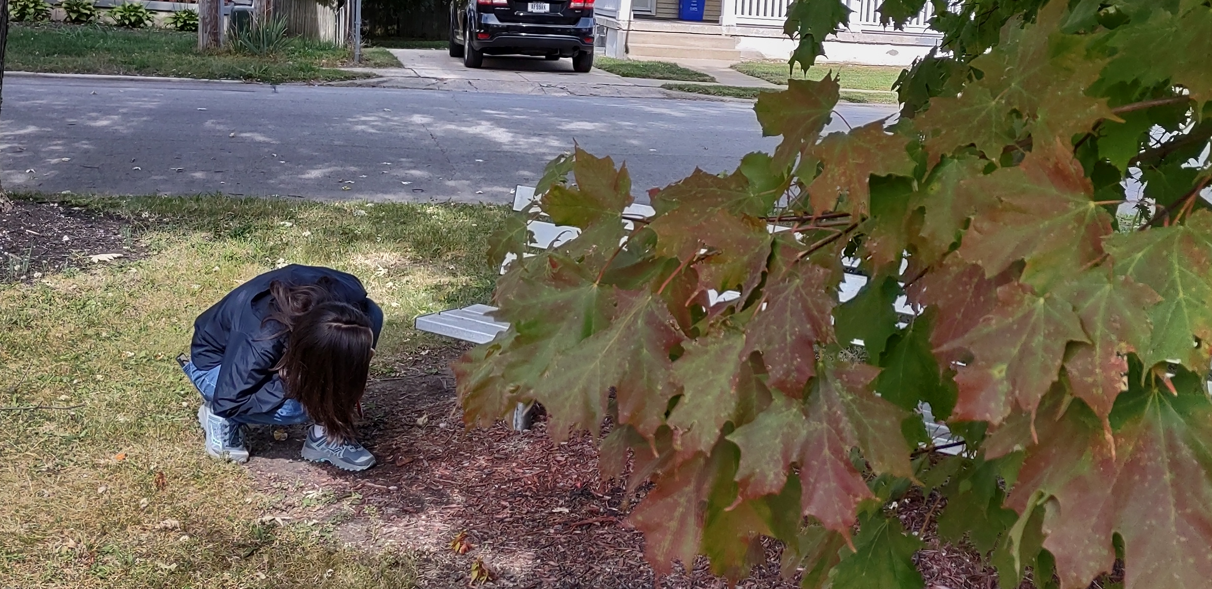 IMG_20221006_115335880_HDR