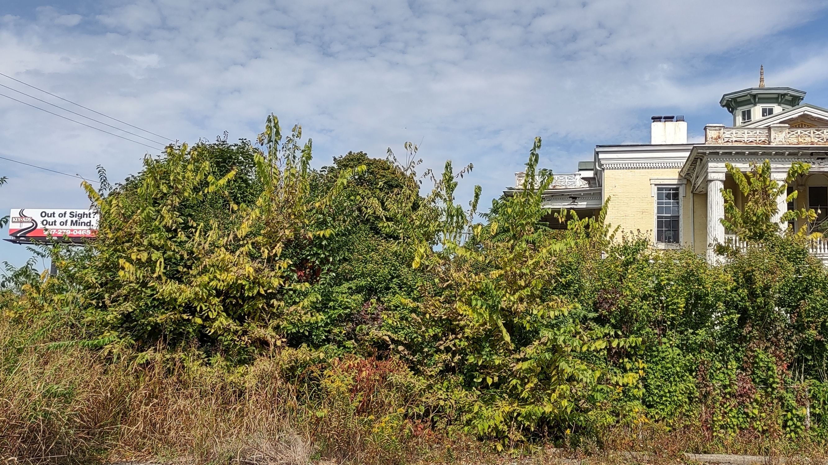 IMG_20221006_120358436_HDR