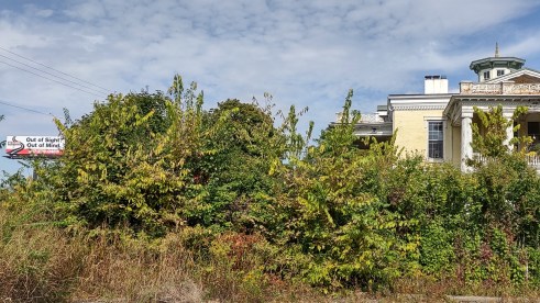 IMG_20221006_120358436_HDR