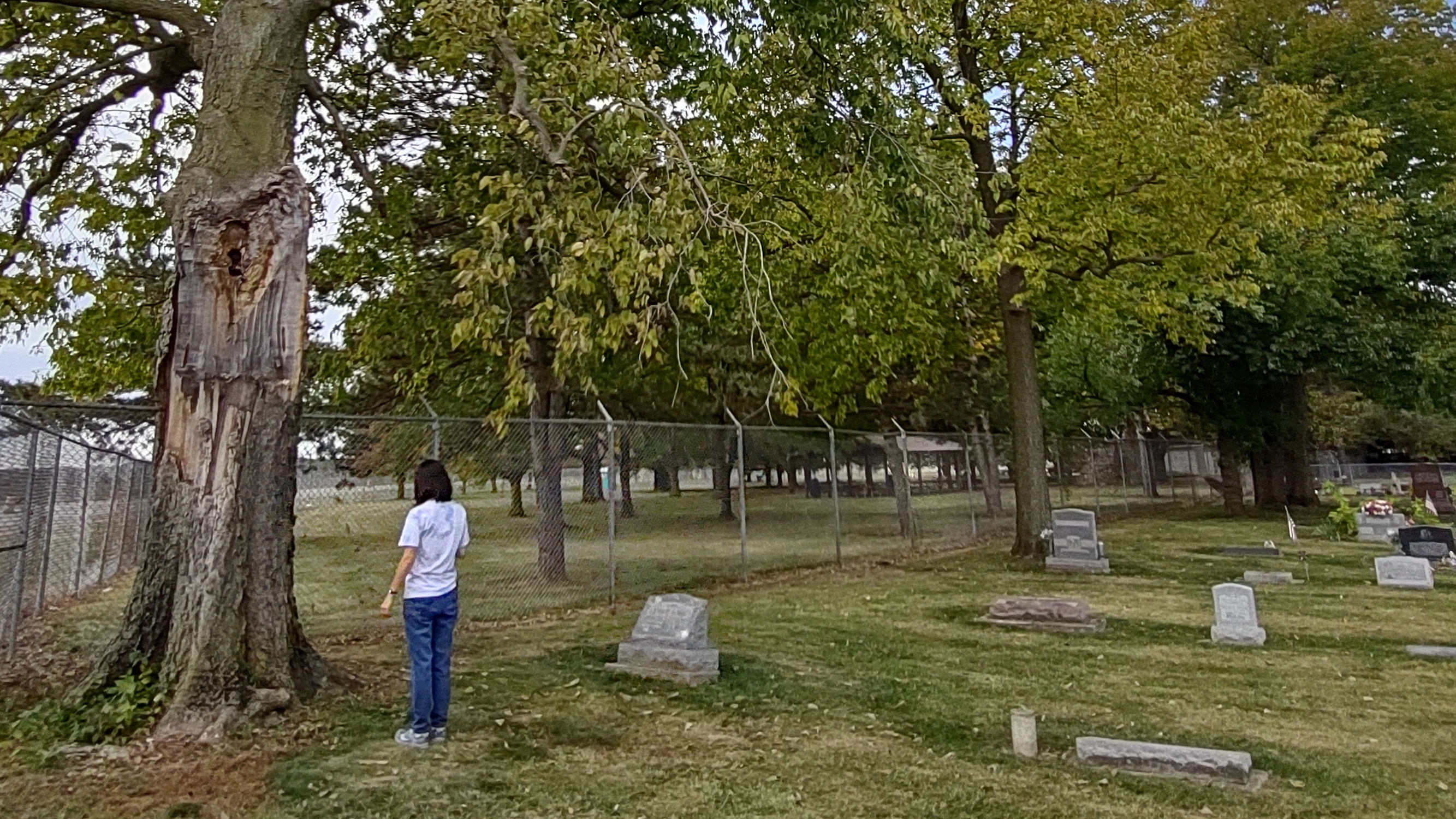 IMG_20221006_121959377_HDR