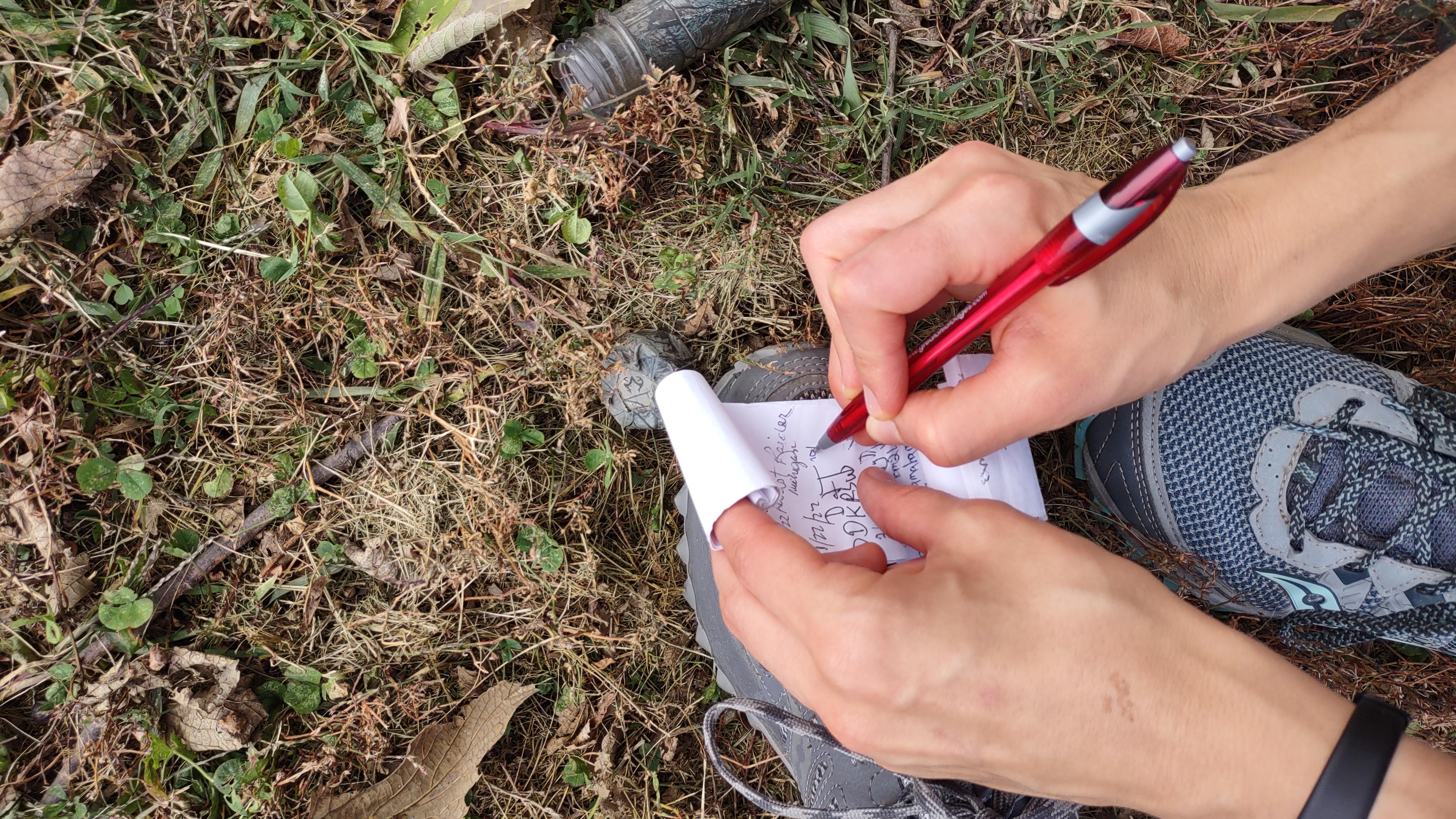 IMG_20221006_122203999