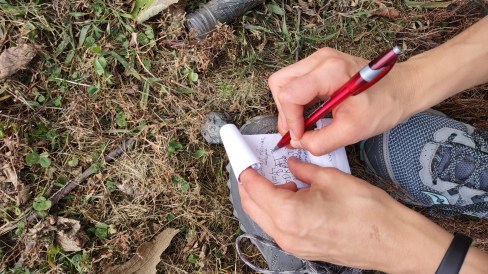 IMG_20221006_122203999