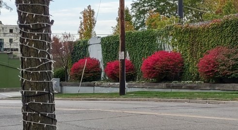 IMG_20221006_132753177_HDR