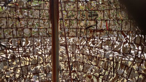 IMG_20221006_154456119_HDR