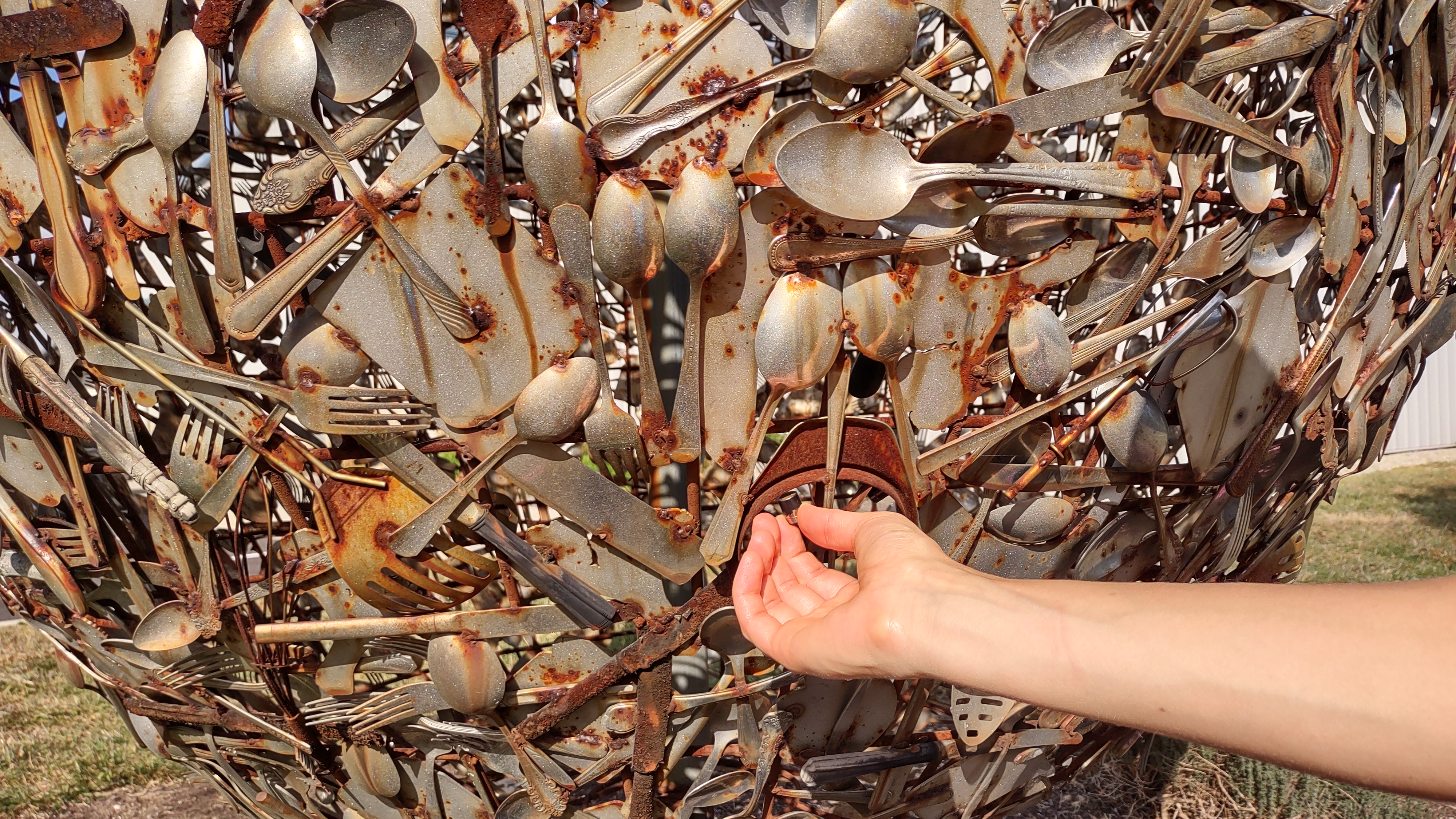 IMG_20221006_155557192_HDR