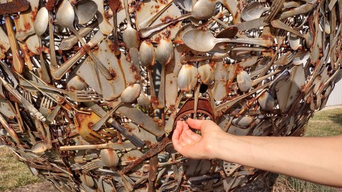 IMG_20221006_155557192_HDR