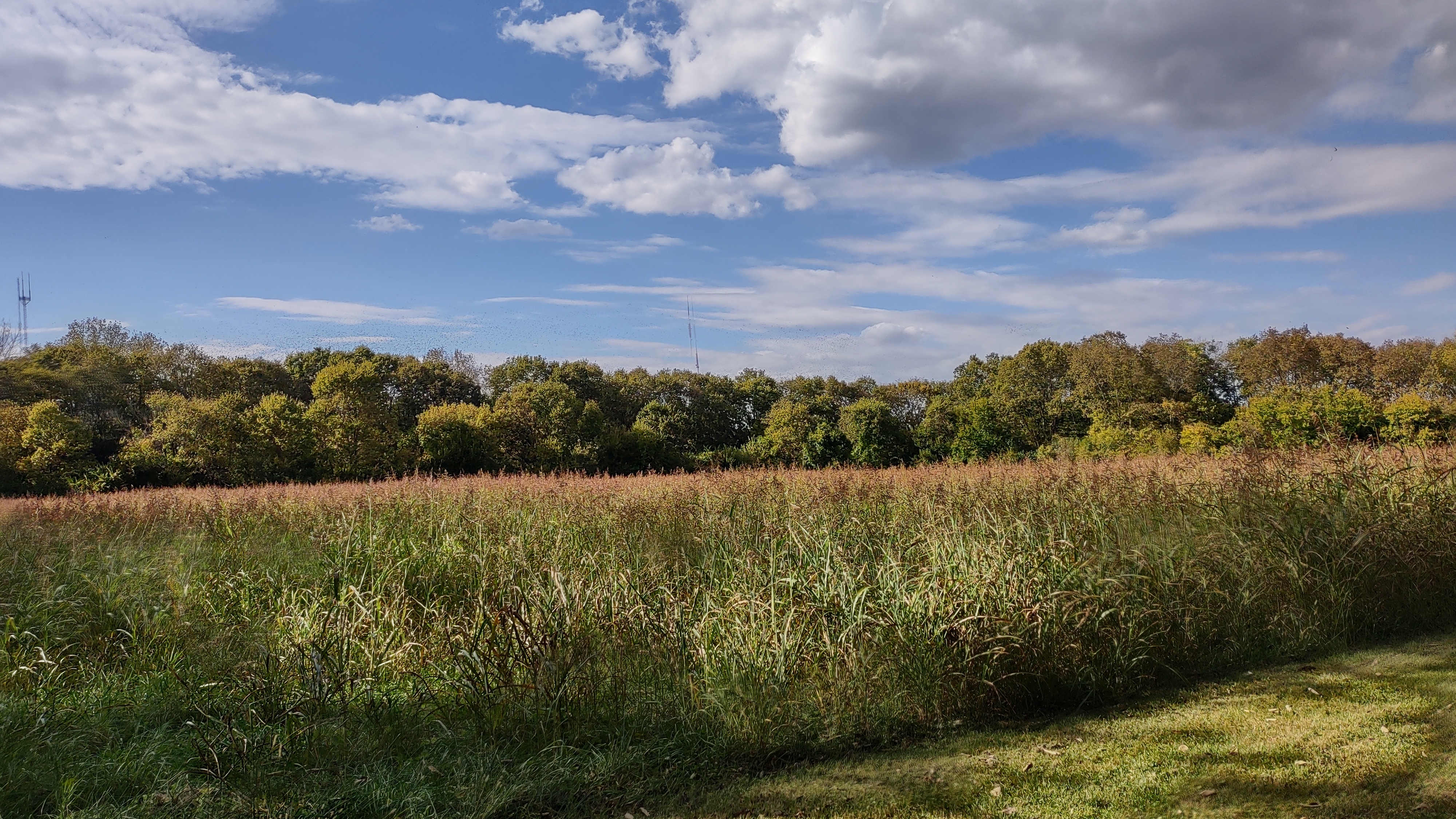 IMG_20221006_161021311_HDR