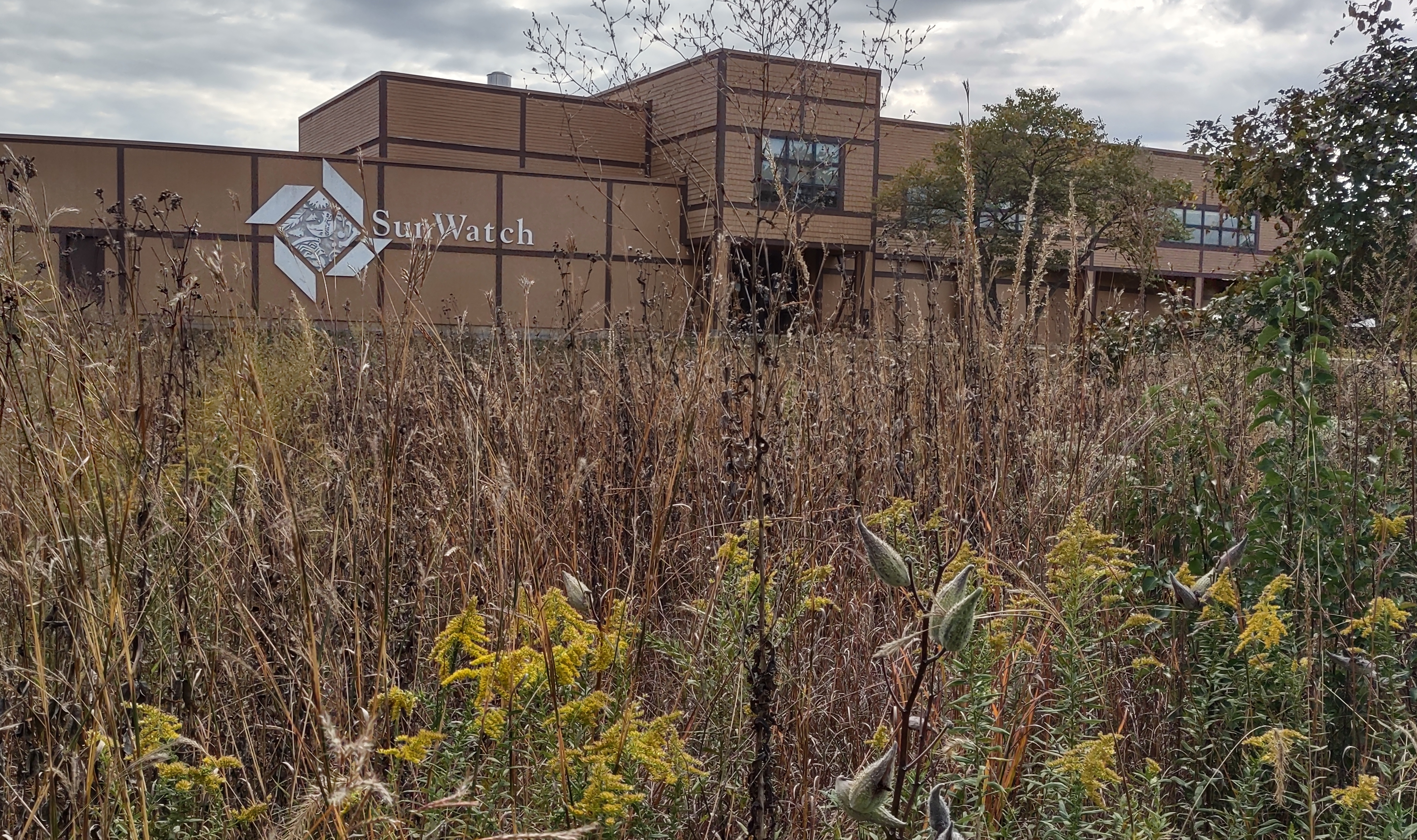 IMG_20221006_161946201_HDR