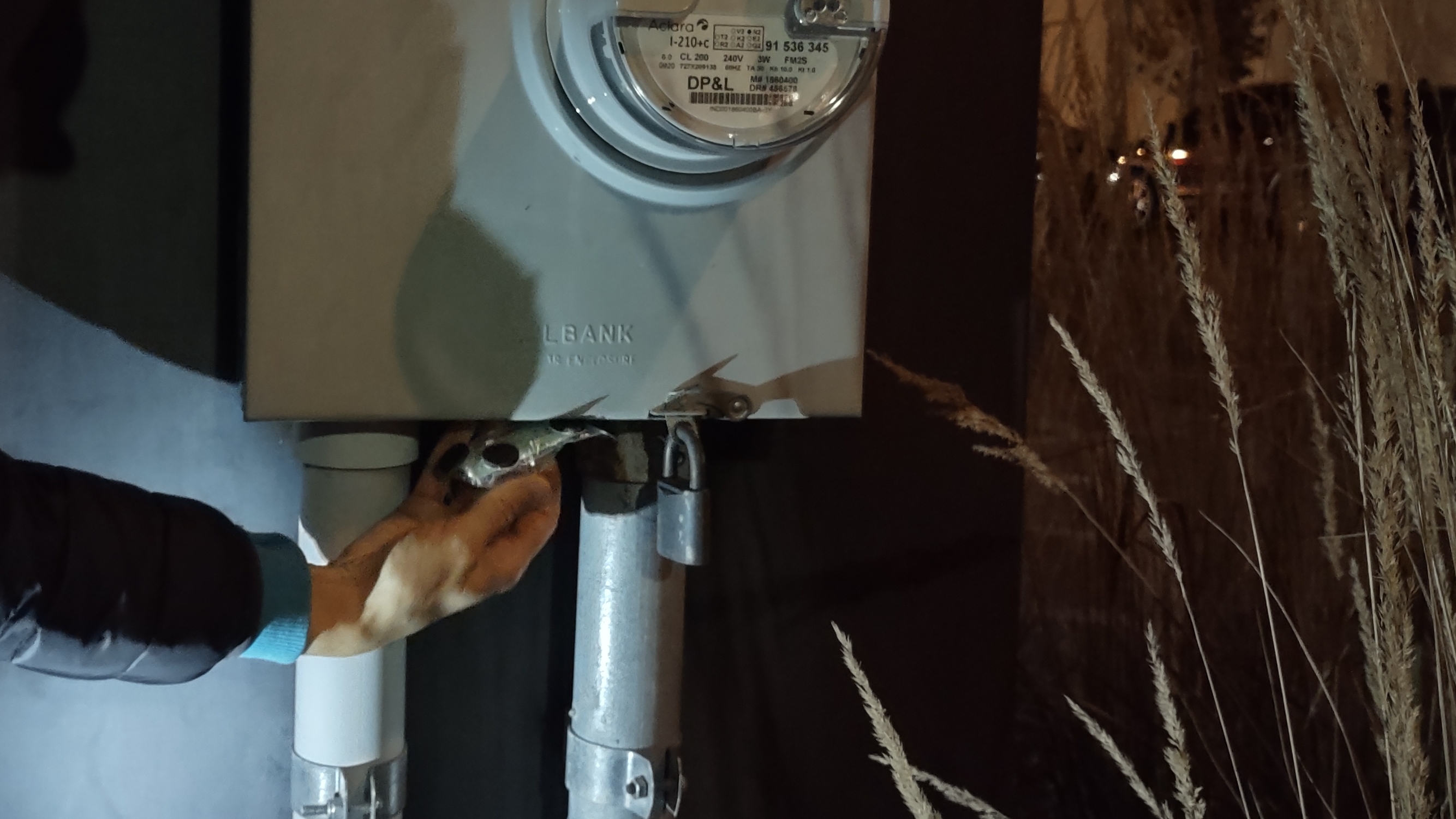 IMG_20221028_193333383_HDR