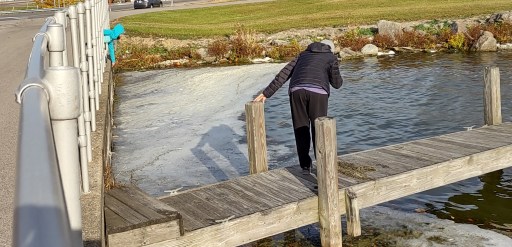 IMG_20221028_100320487_HDR