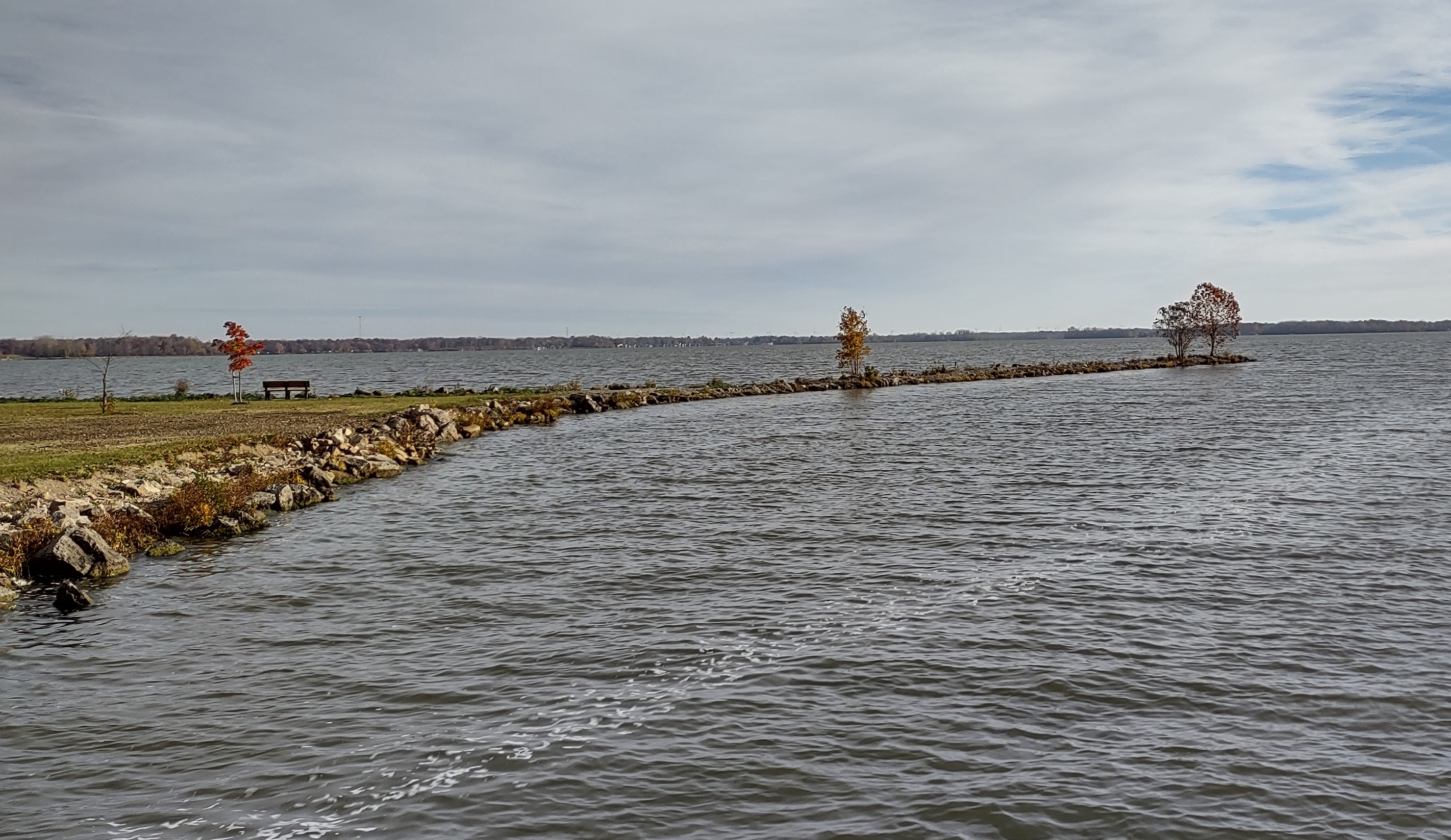 IMG_20221028_100657119_HDR