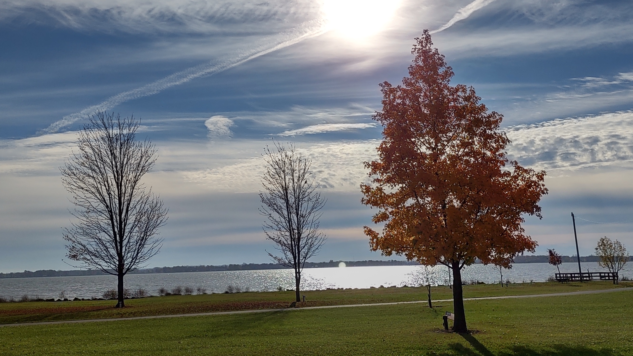 IMG_20221028_101057134_HDR