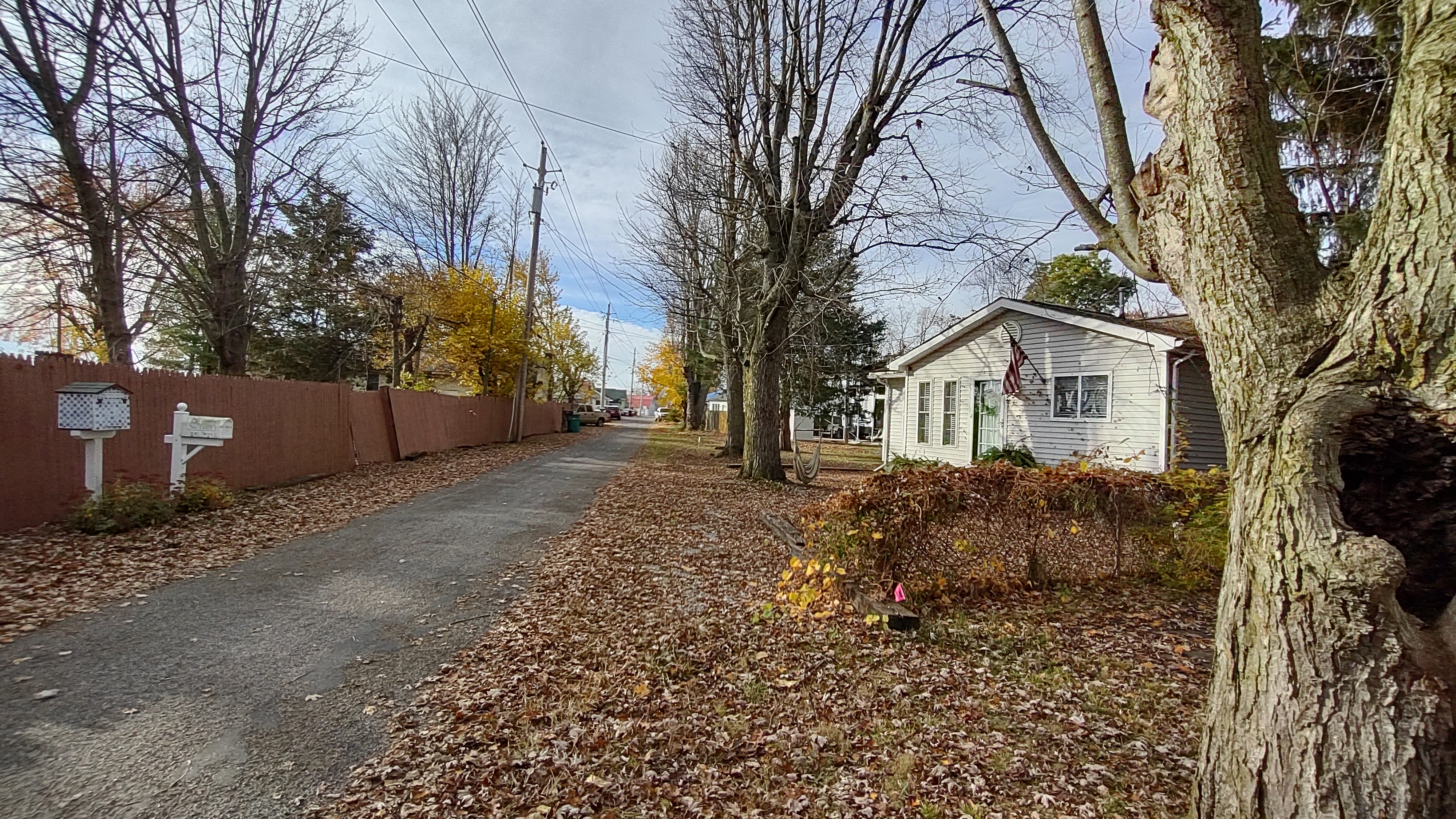 IMG_20221028_101929151_HDR