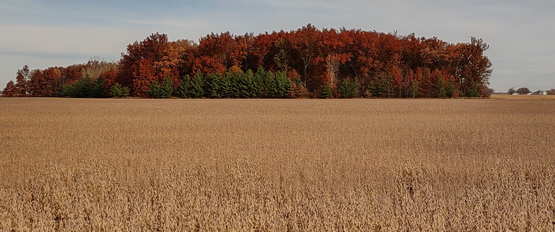 IMG_20221028_102647260_HDR