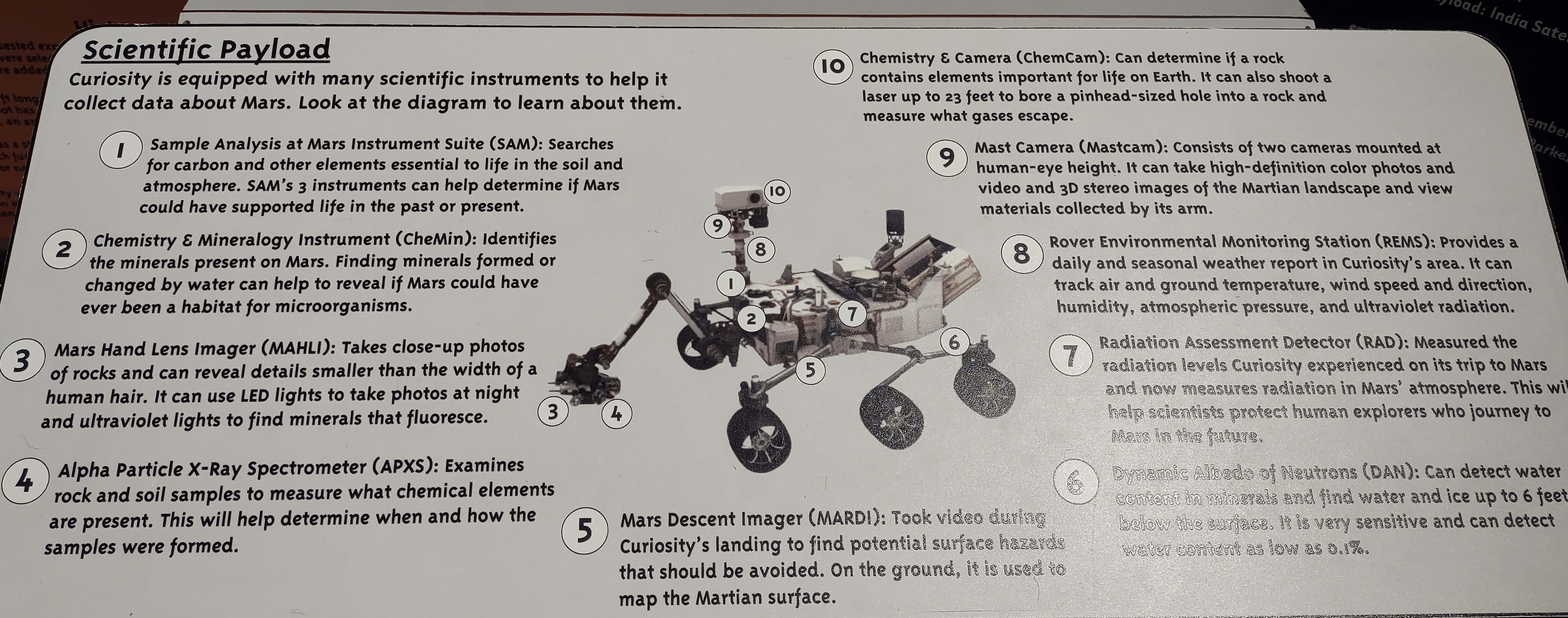 IMG_20221028_114356394