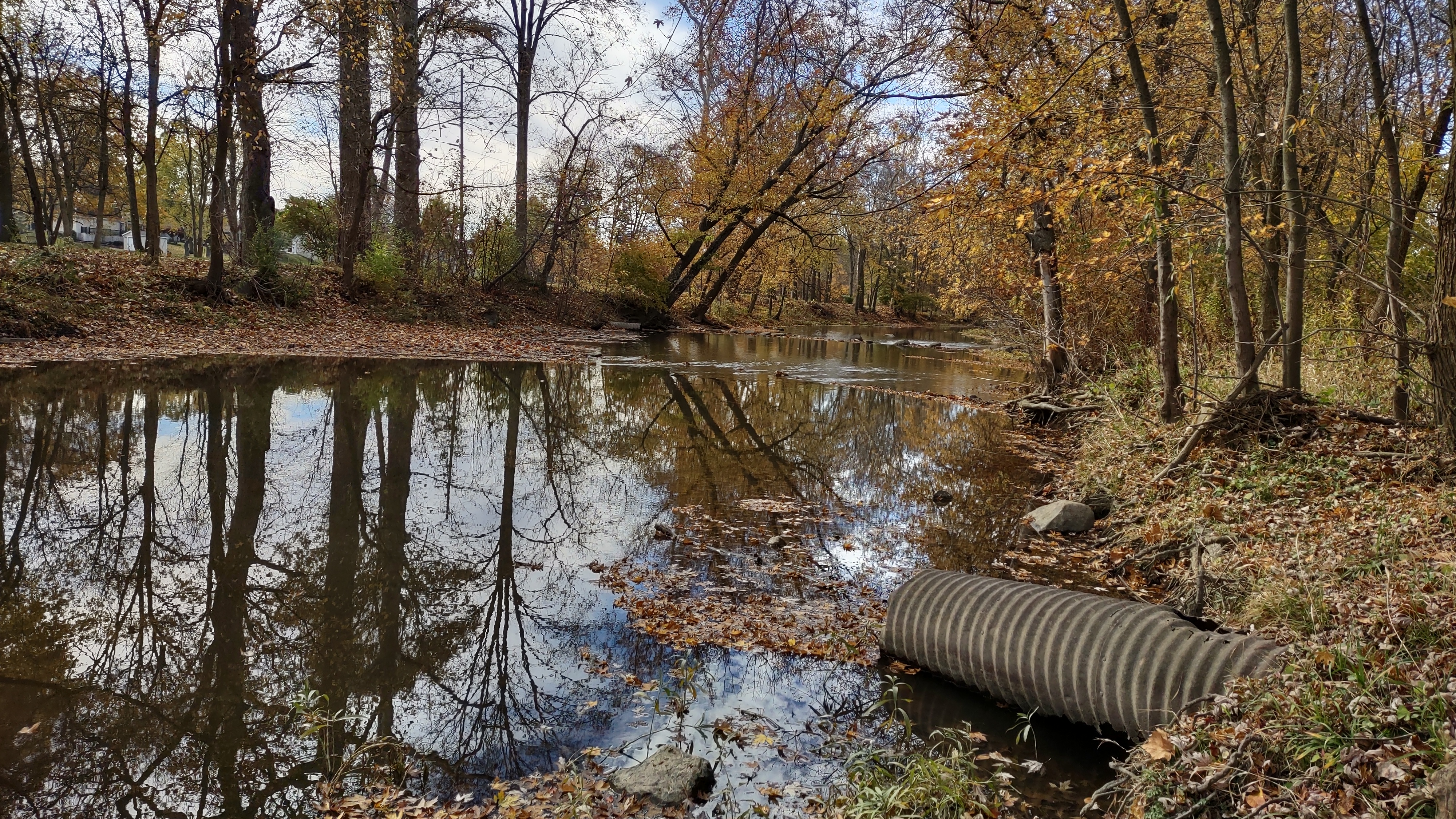 IMG_20221028_125126072_HDR