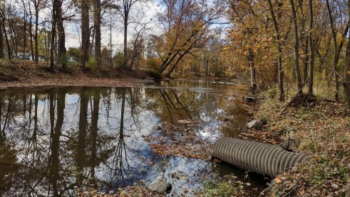 IMG_20221028_125126072_HDR