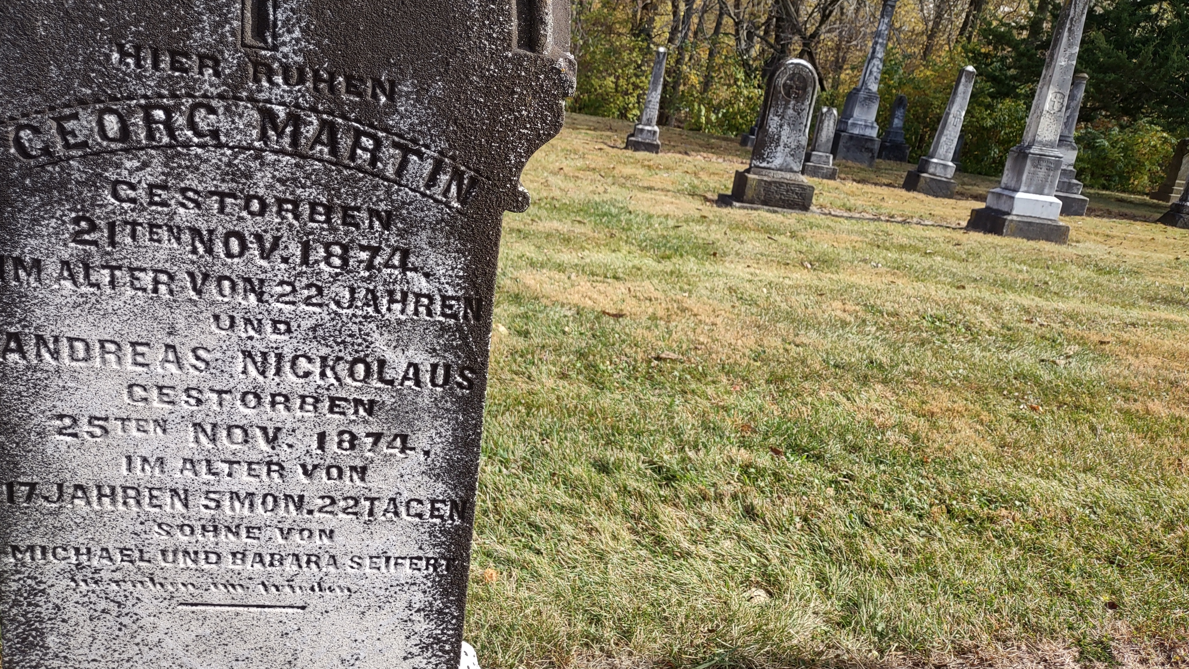 IMG_20221028_131746964_HDR