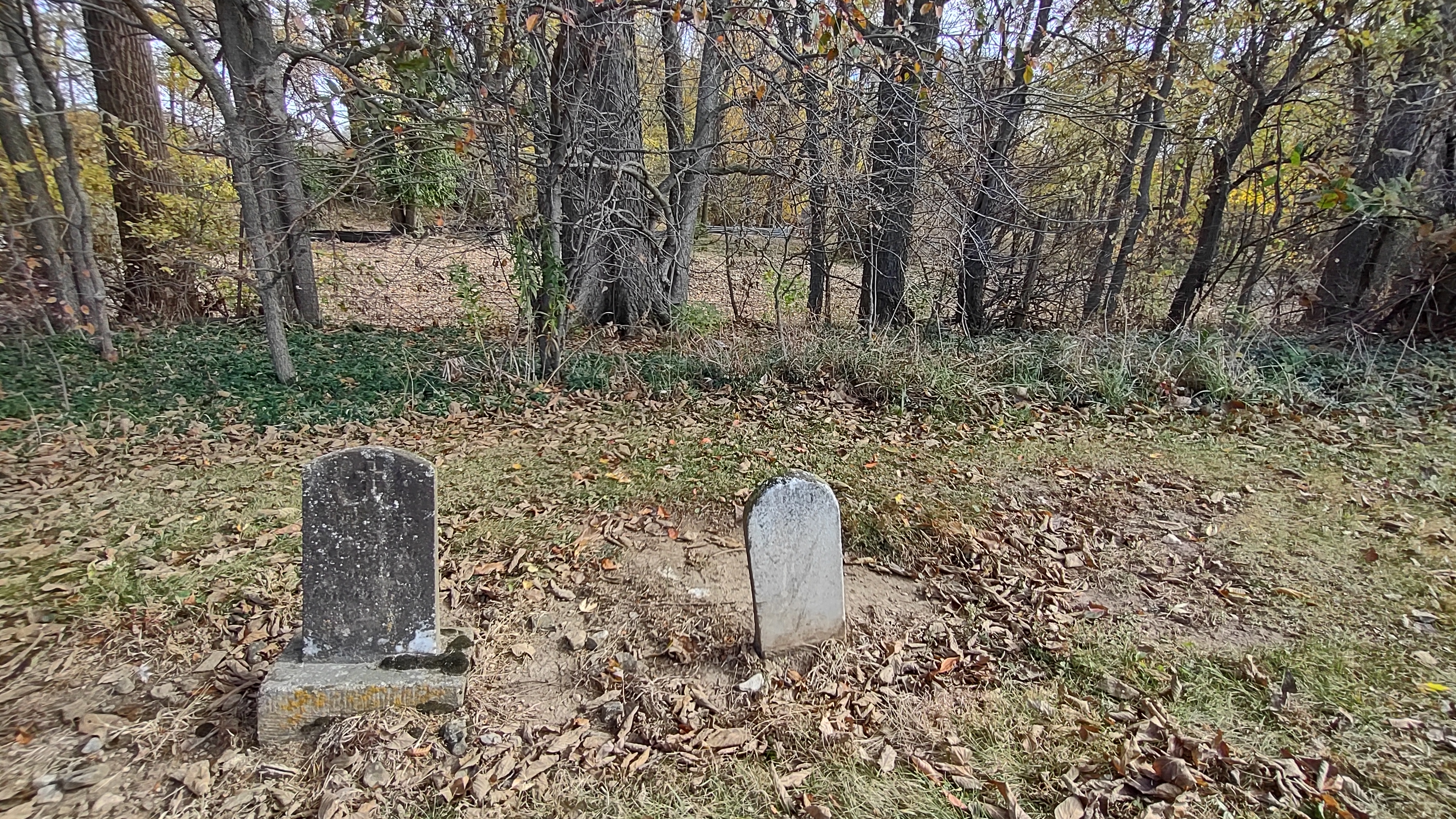 IMG_20221028_132019519_HDR