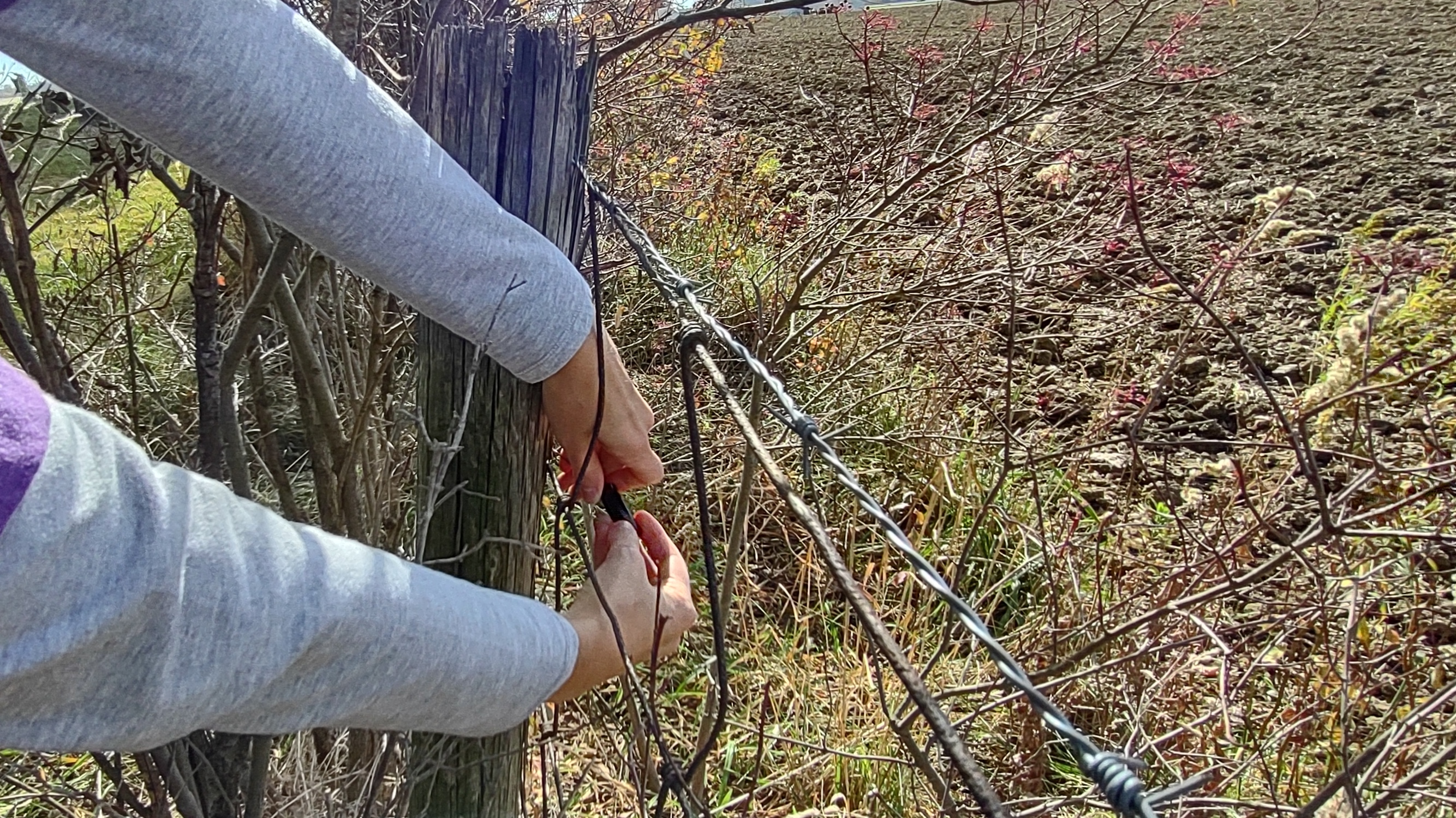 IMG_20221028_135744467_HDR