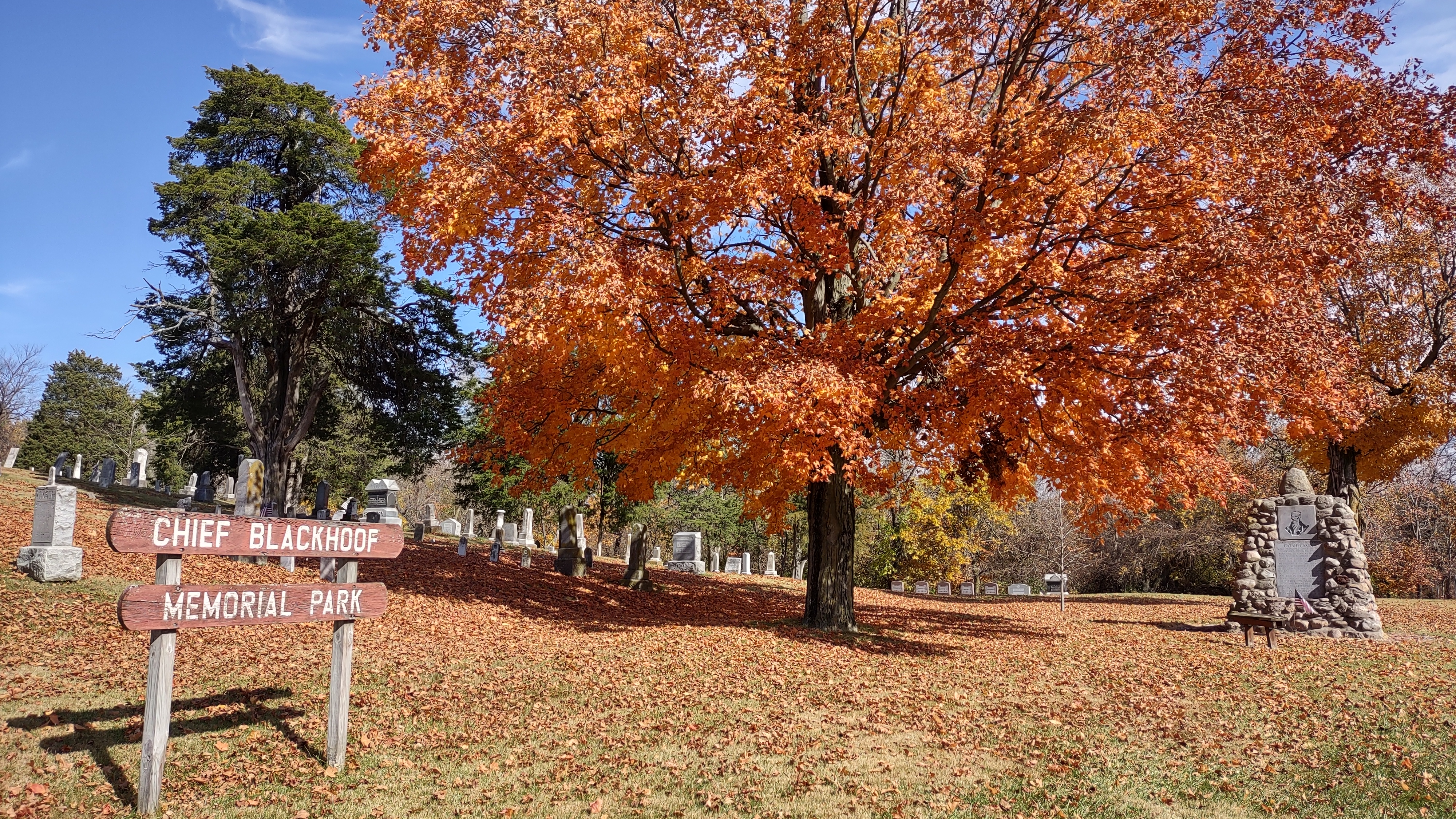 IMG_20221028_141257852_HDR