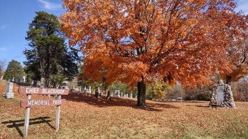 IMG_20221028_141257852_HDR