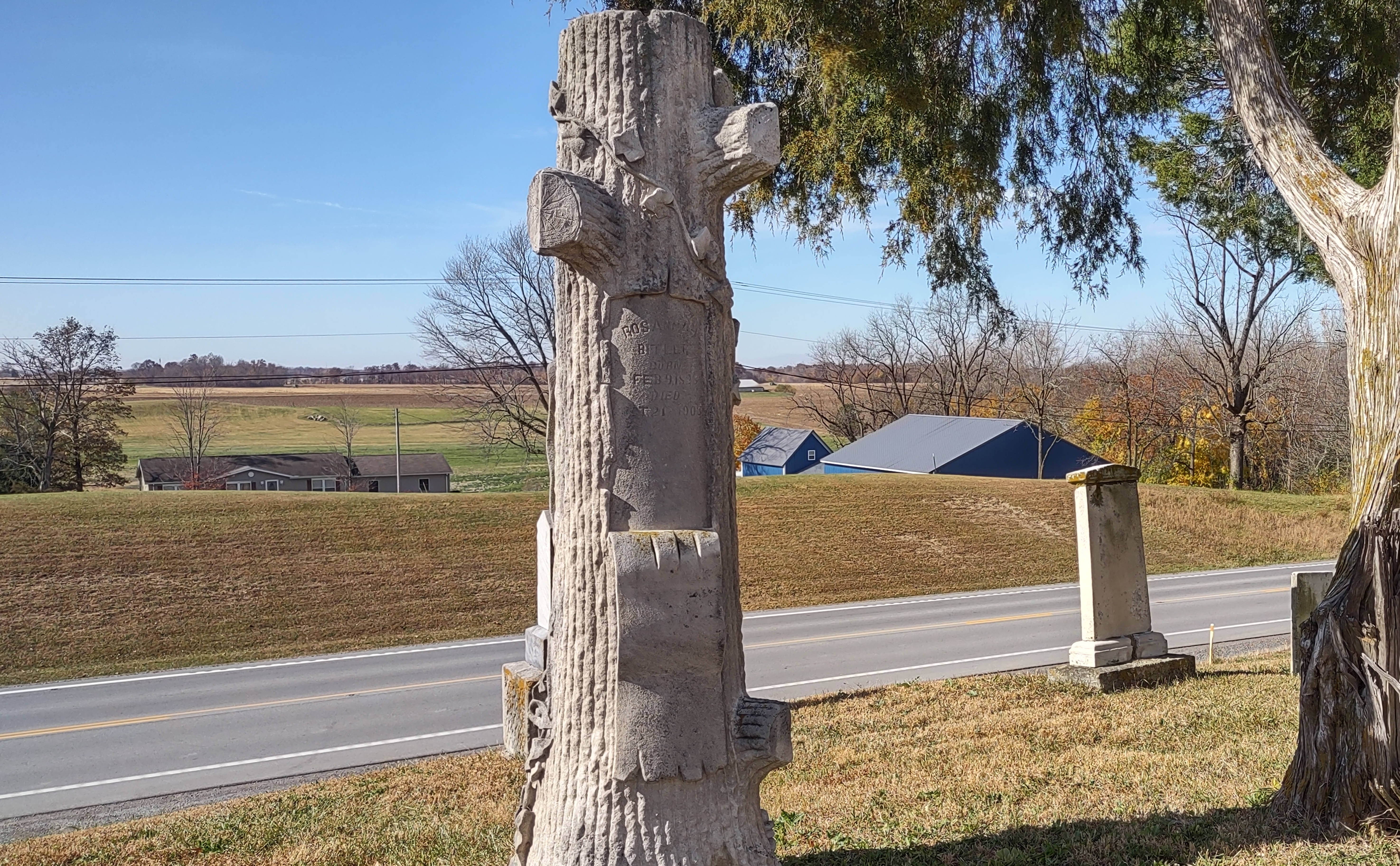 IMG_20221028_141650409_HDR