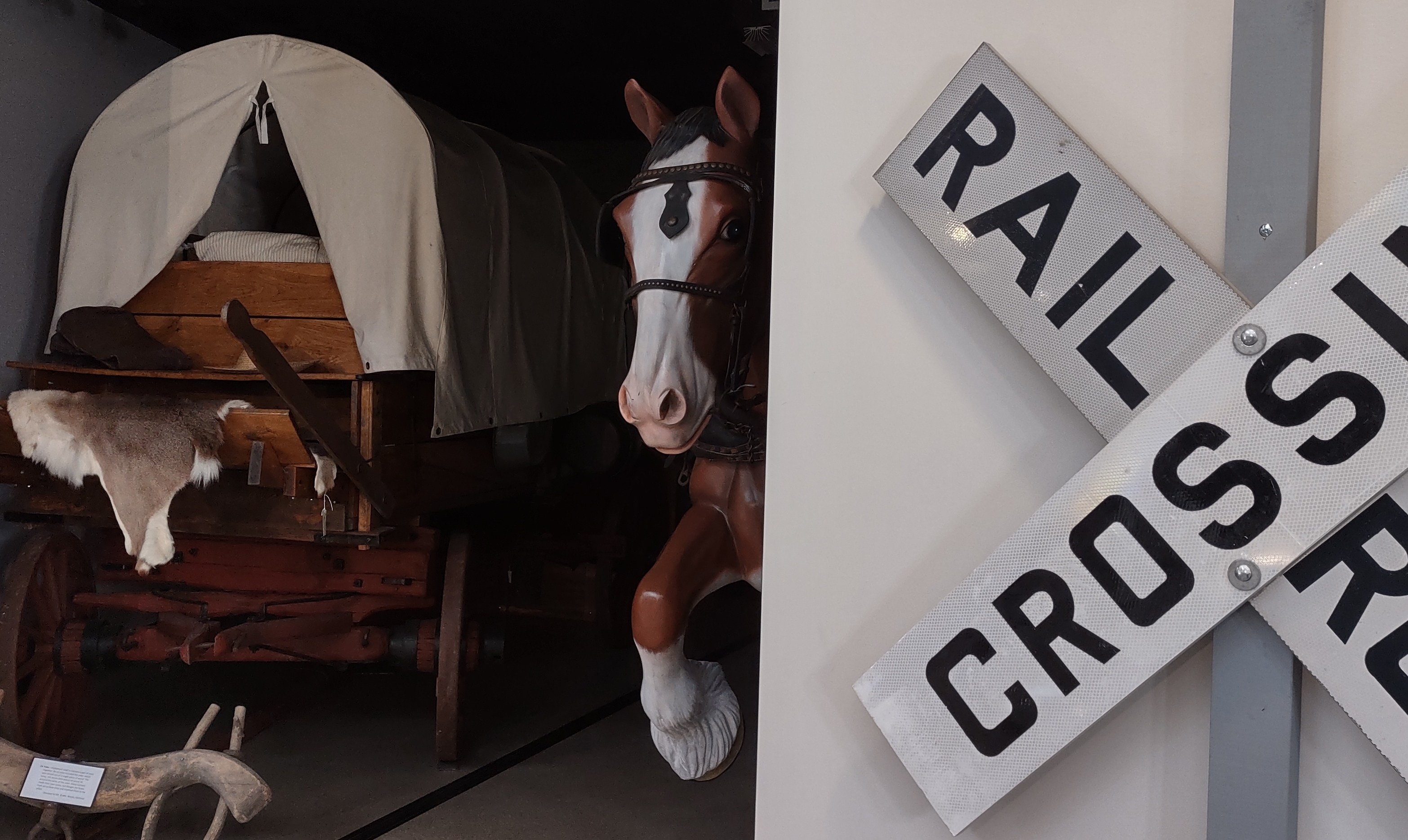 IMG_20221028_152017255_HDR