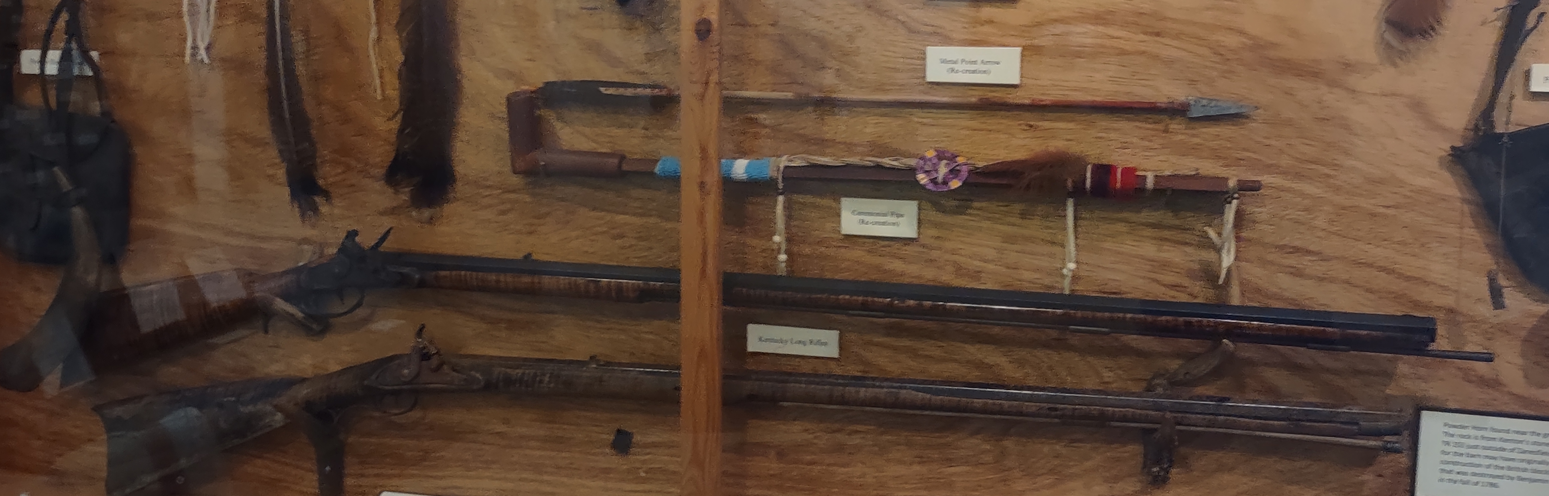 IMG_20221028_155035989