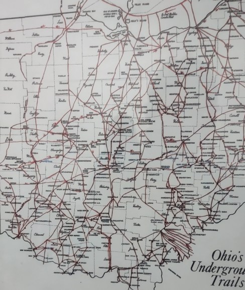 IMG_20221028_162539303