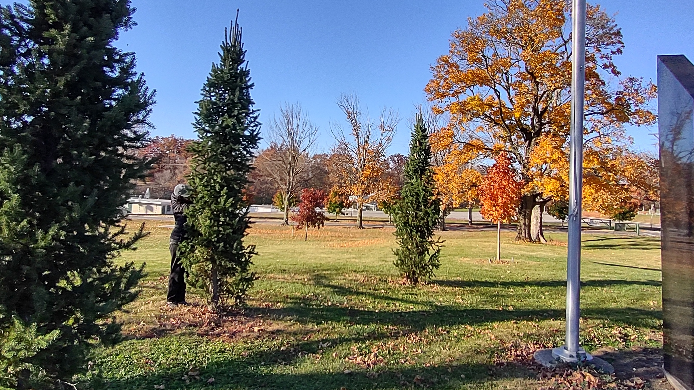 IMG_20221028_164751734_HDR