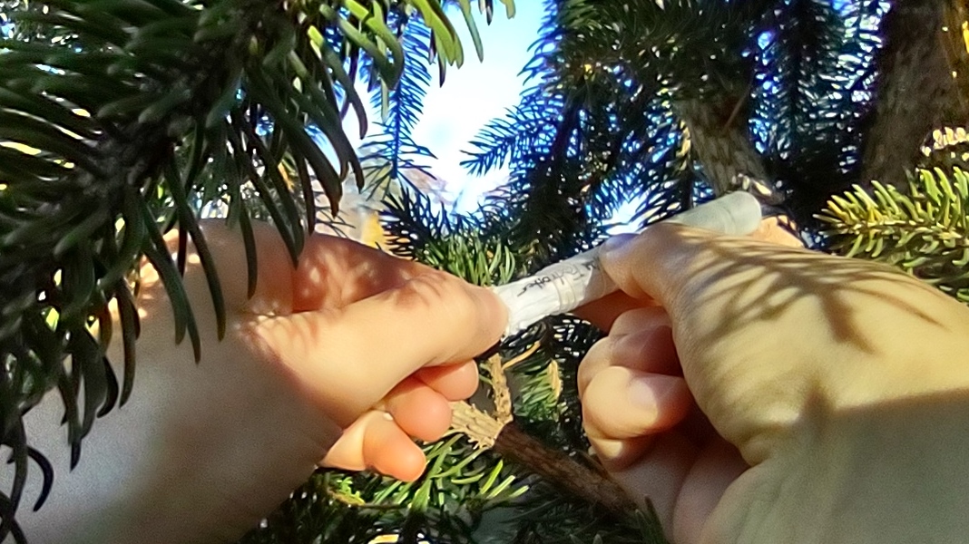 IMG_20221028_164814124_HDR