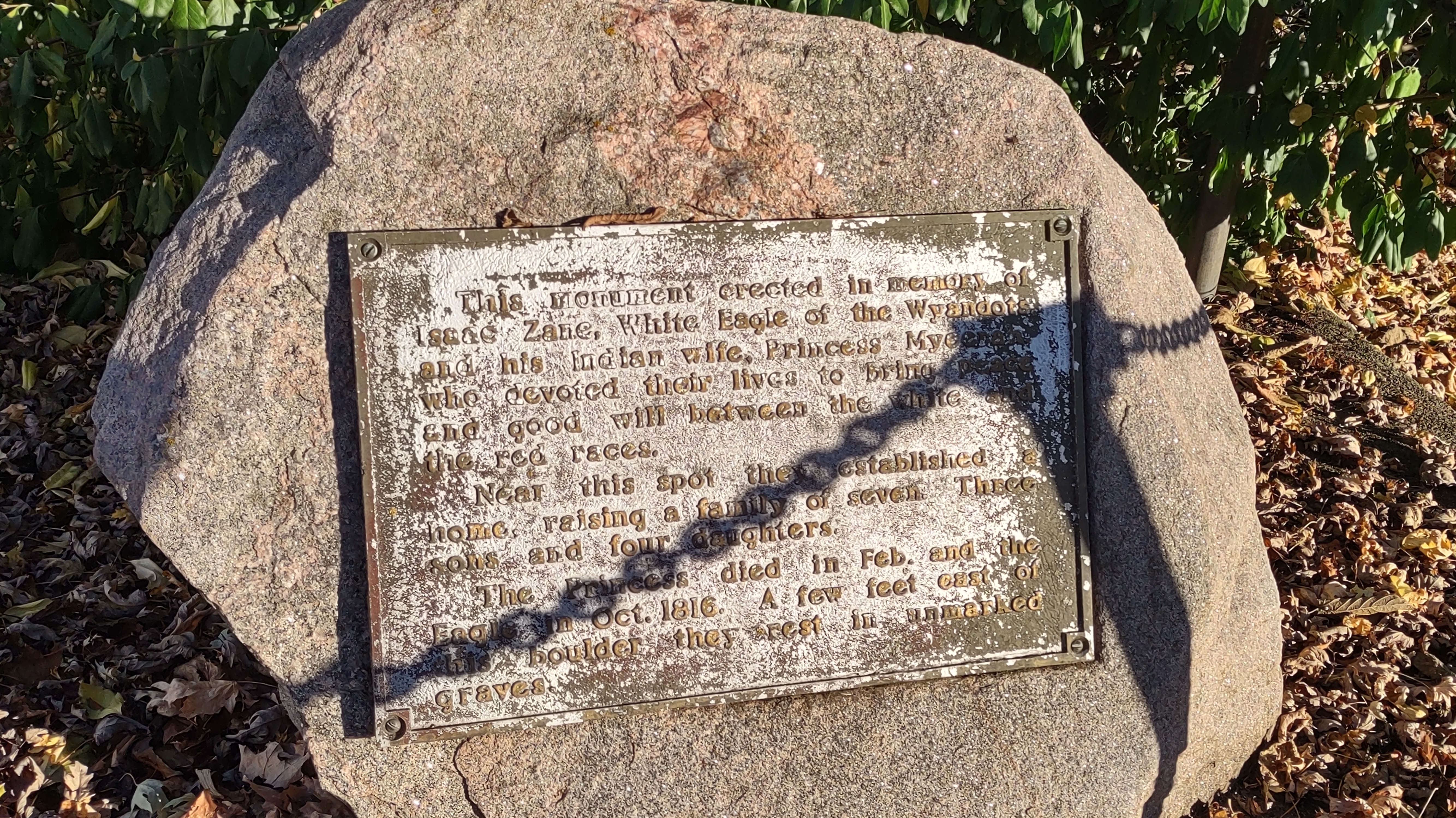 IMG_20221028_172034707_HDR