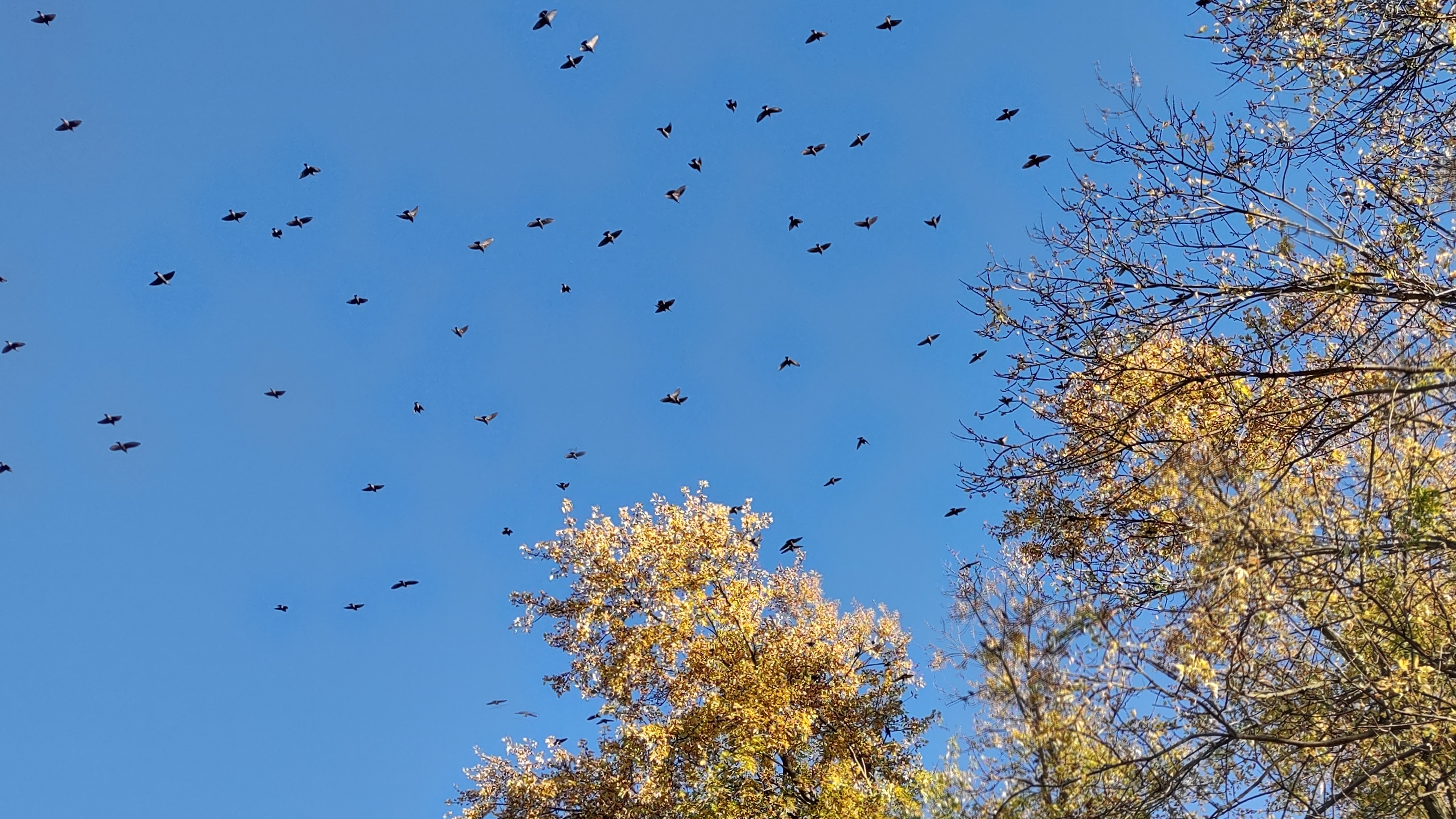 IMG_20221028_172043296_HDR