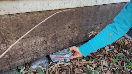 IMG_20221028_173413155_HDR