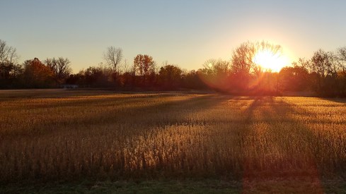 IMG_20221028_181104092_HDR