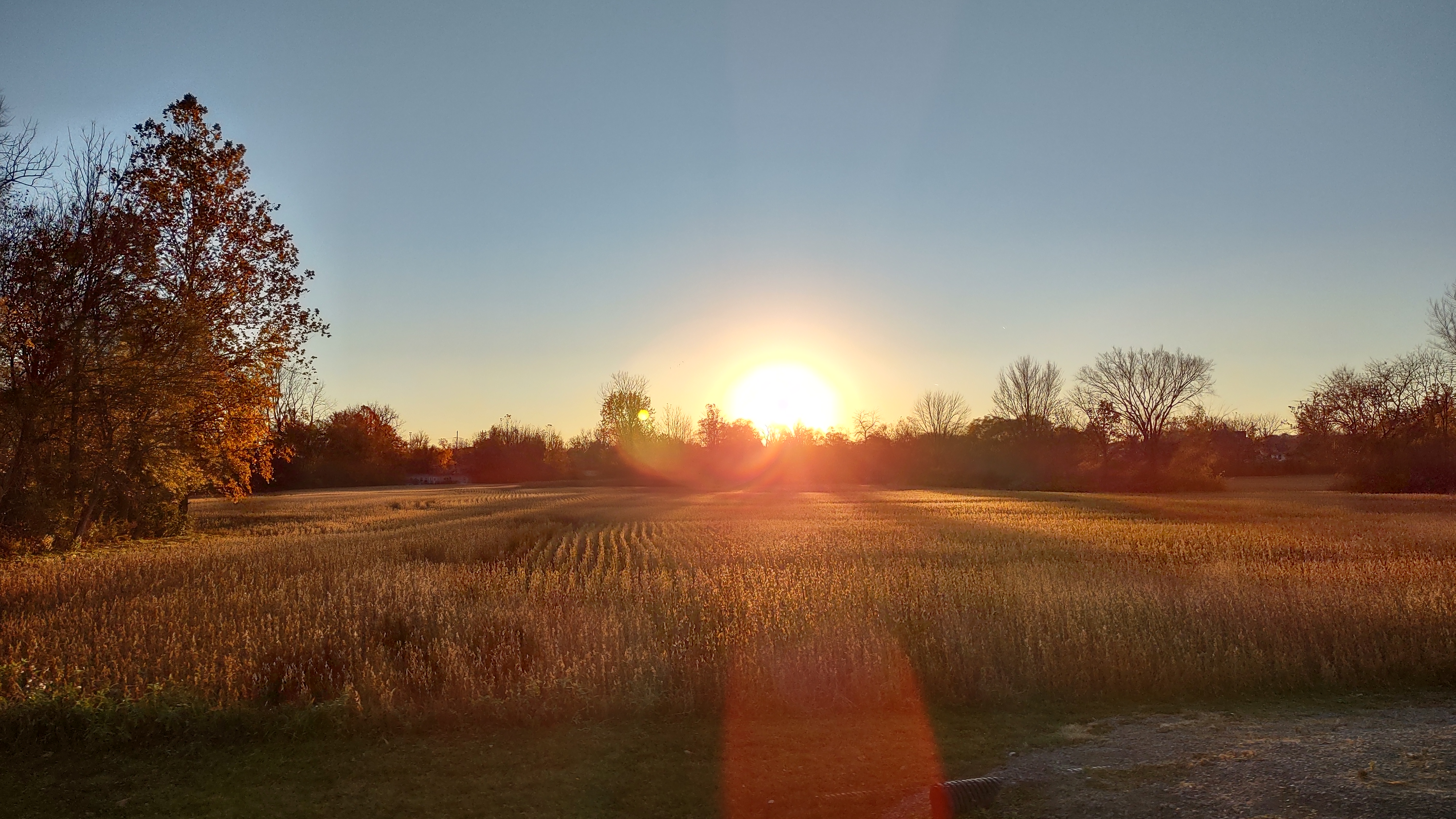 IMG_20221028_181106889_HDR