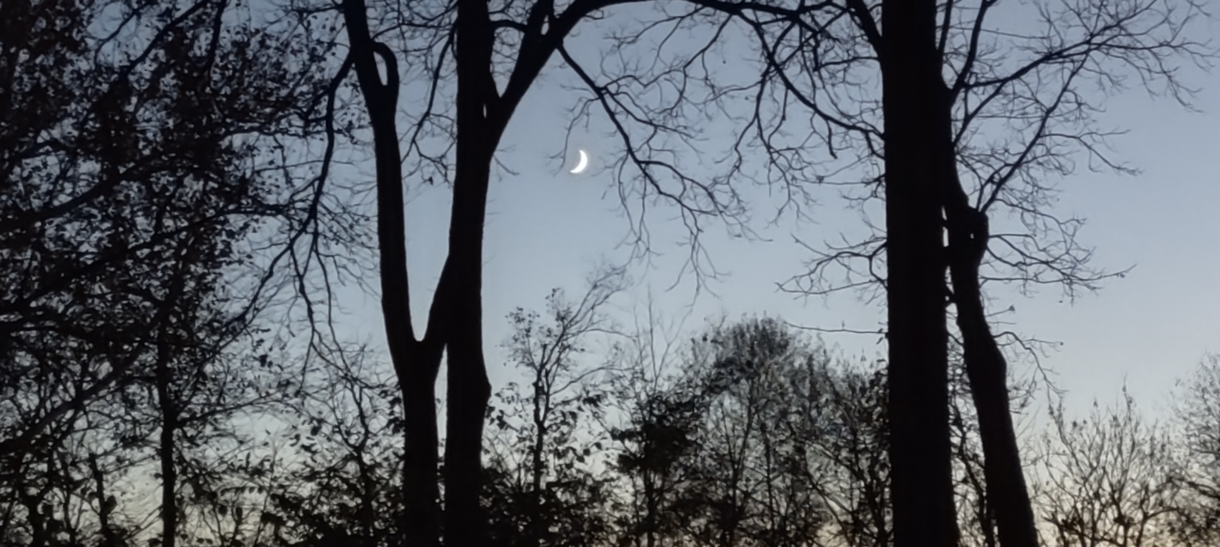 IMG_20221028_190748314_HDR