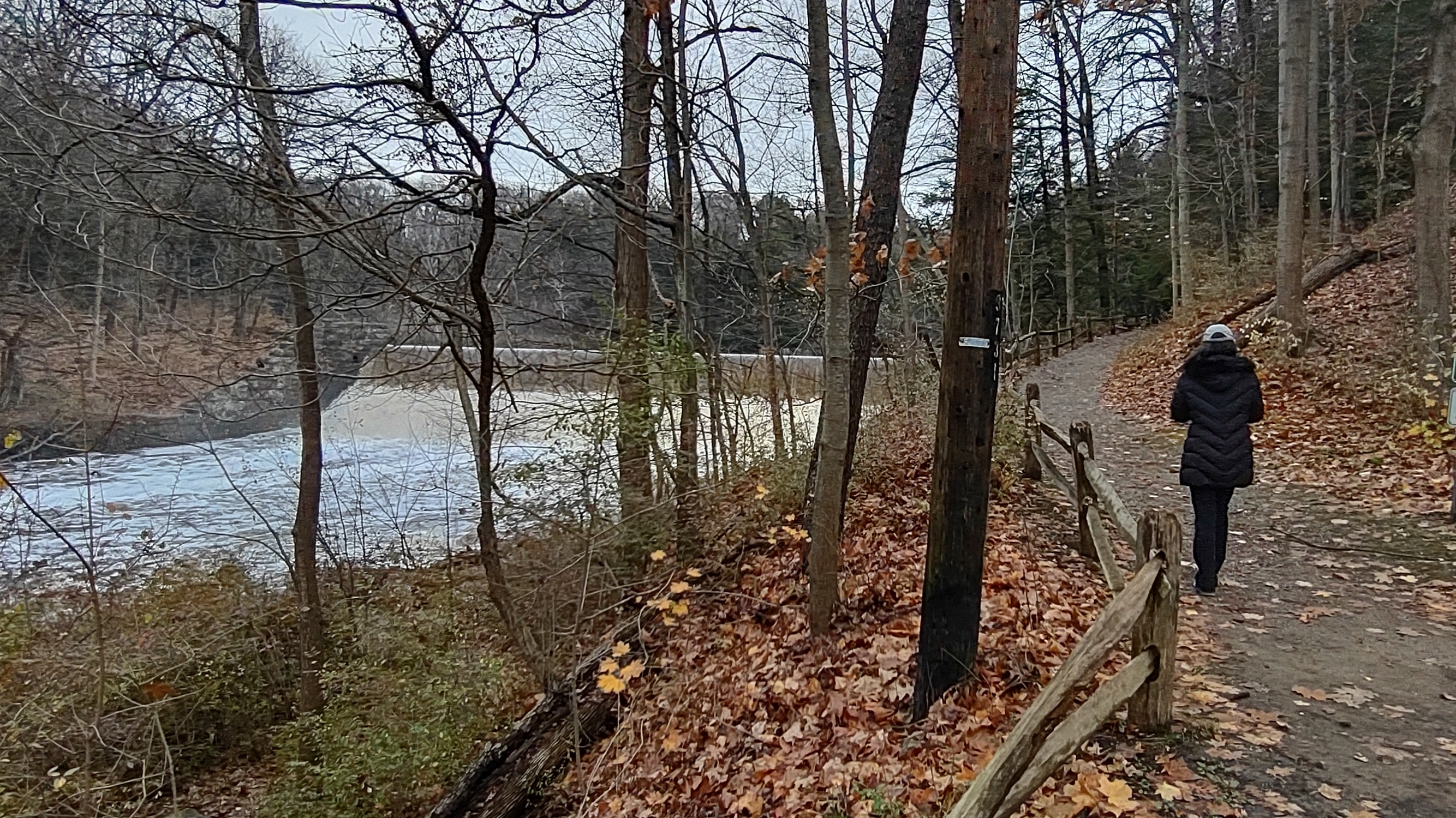 IMG_20221112_102858313_HDR