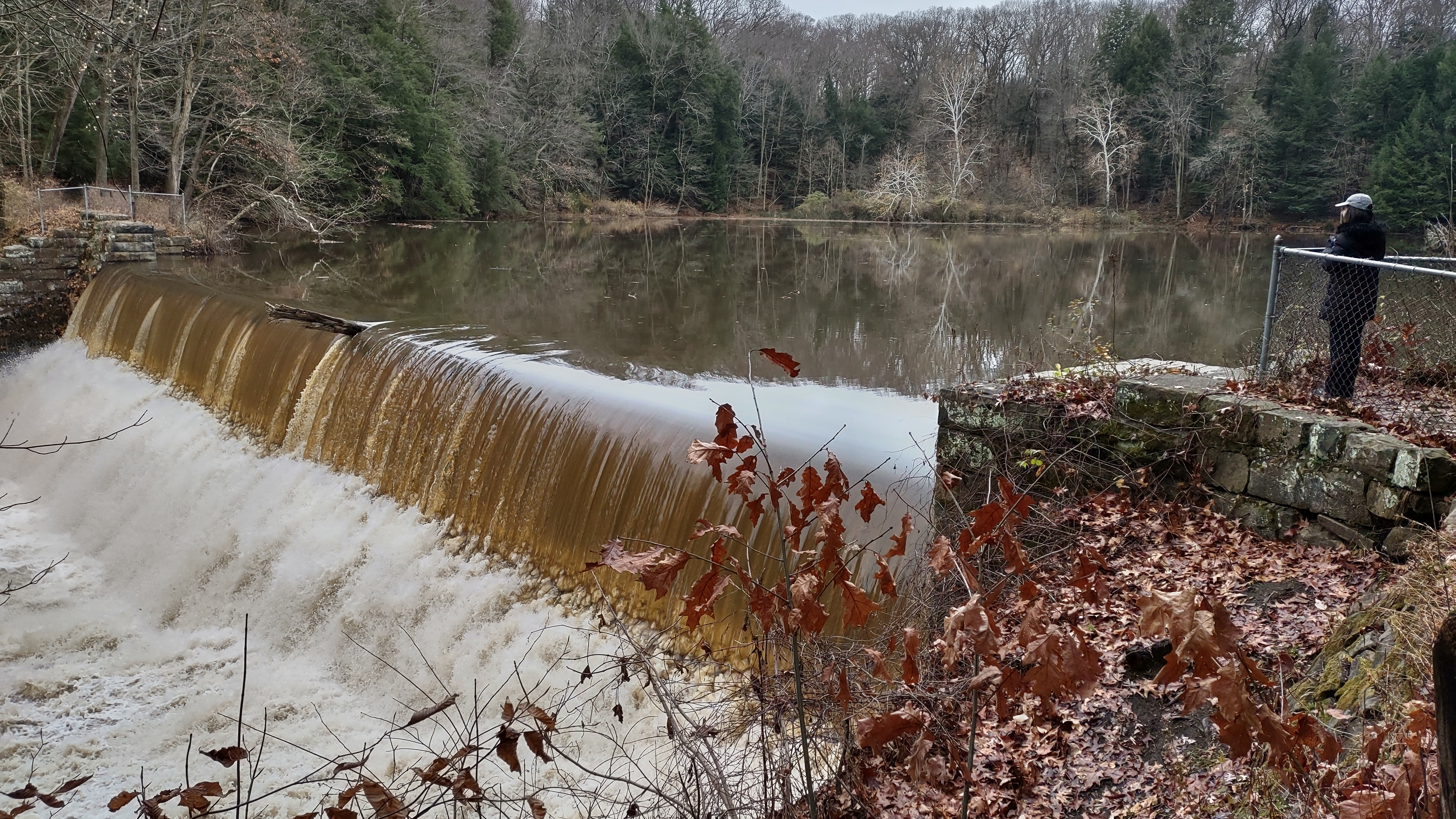 IMG_20221112_103013242_HDR