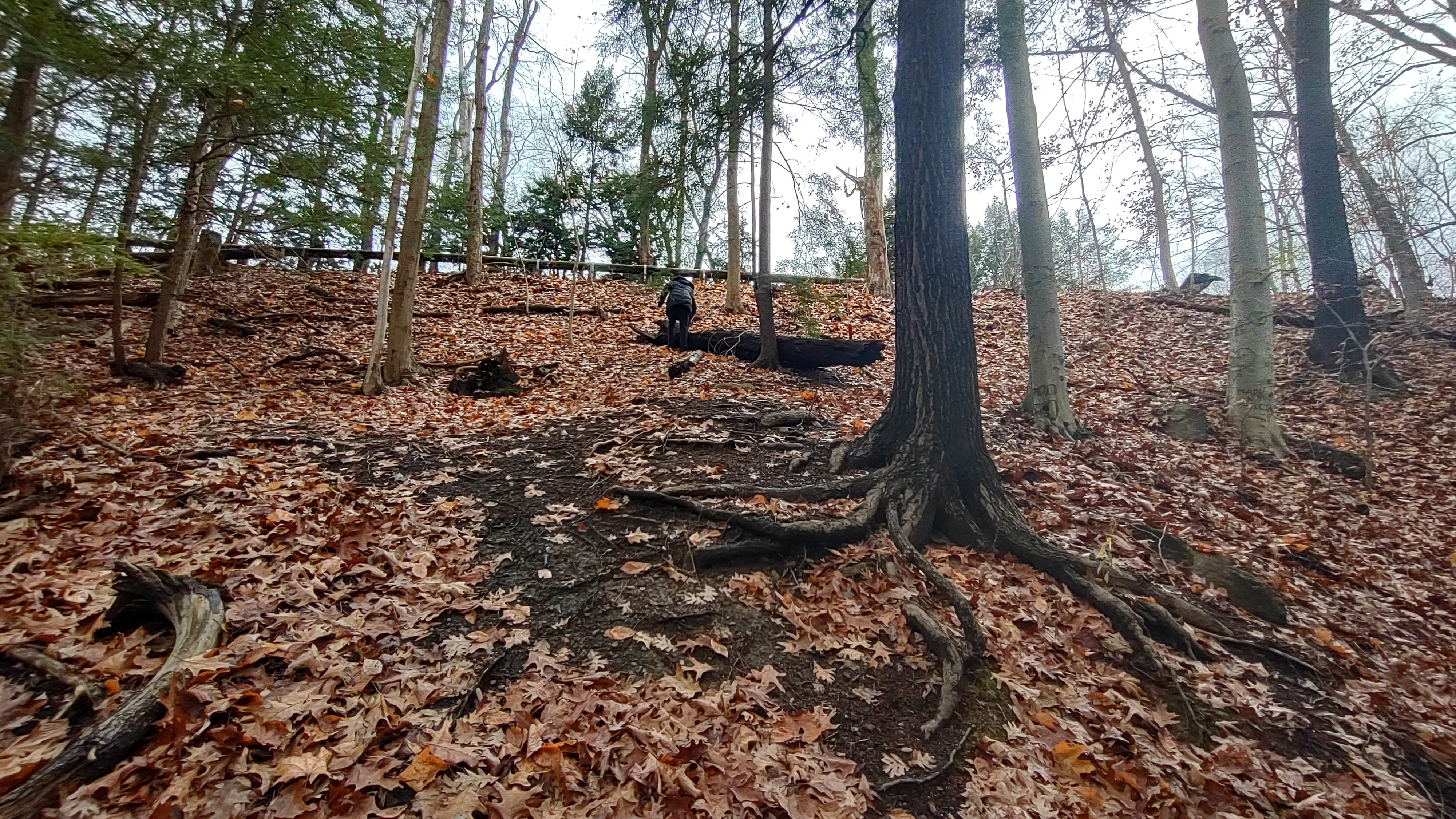 IMG_20221112_103932184_HDR