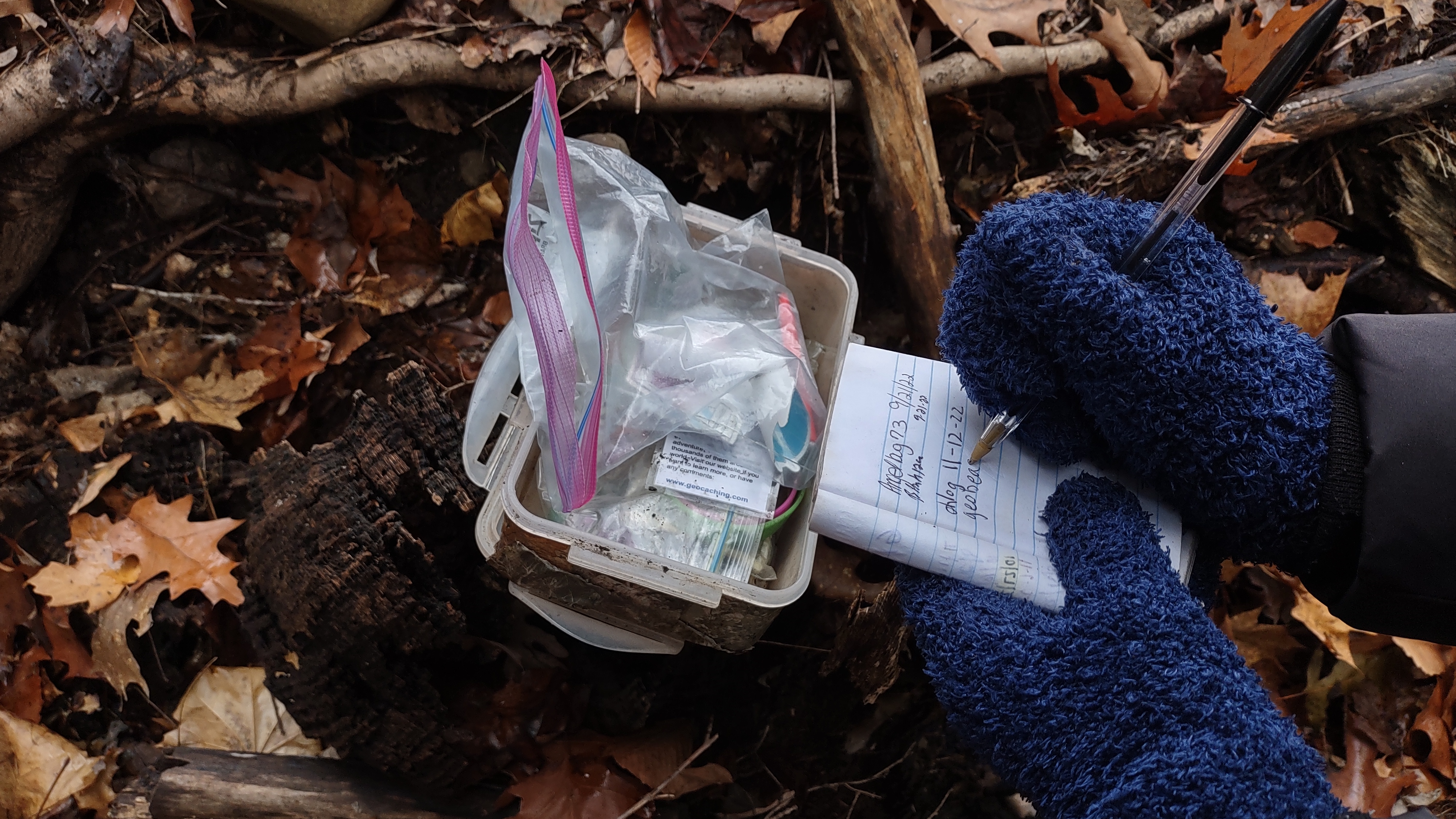 IMG_20221112_104617747_HDR