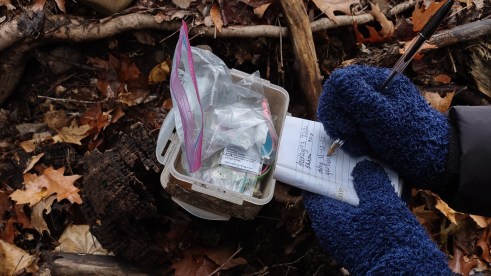 IMG_20221112_104617747_HDR